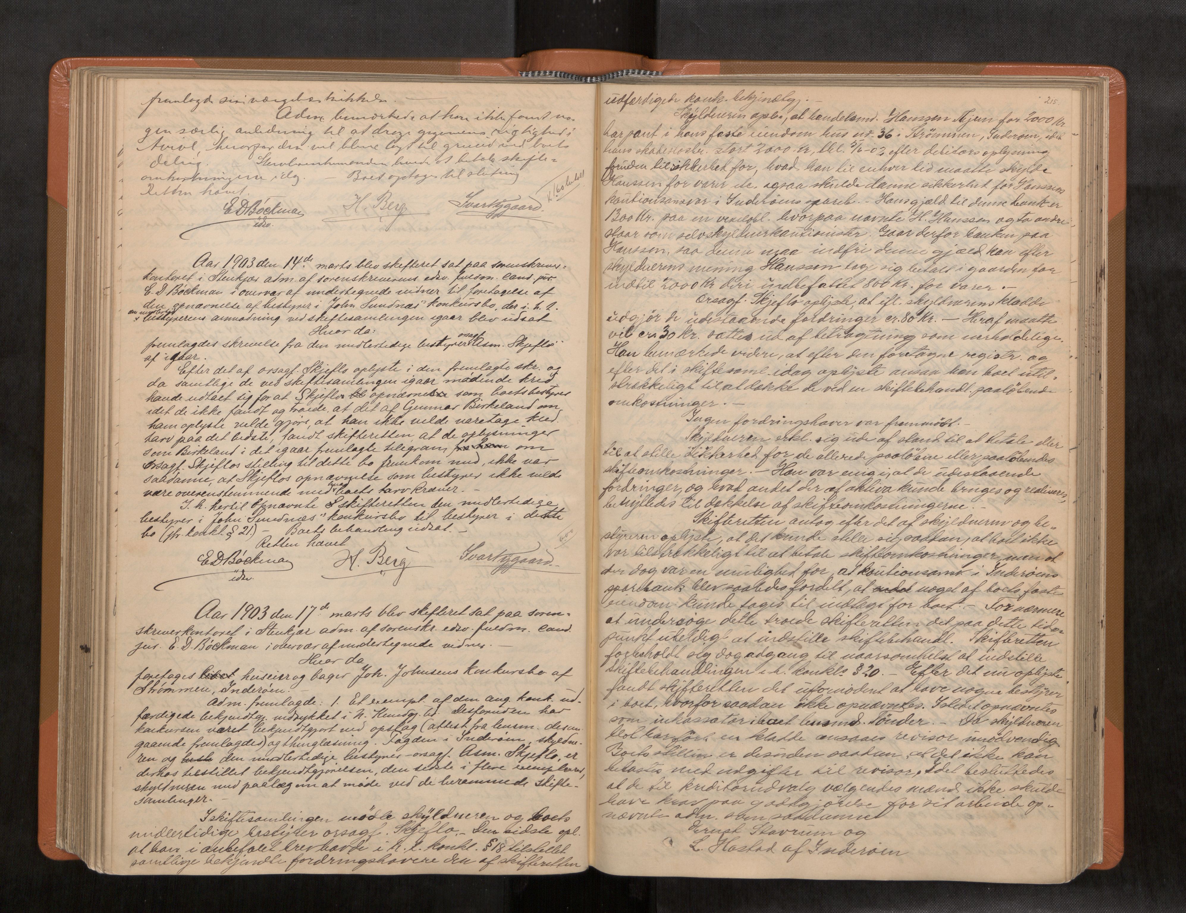 Inderøy sorenskriveri, AV/SAT-A-4147/1/3/3B/L0007: Skifteforhandlingsprotokoll, 1898-1905, p. 215