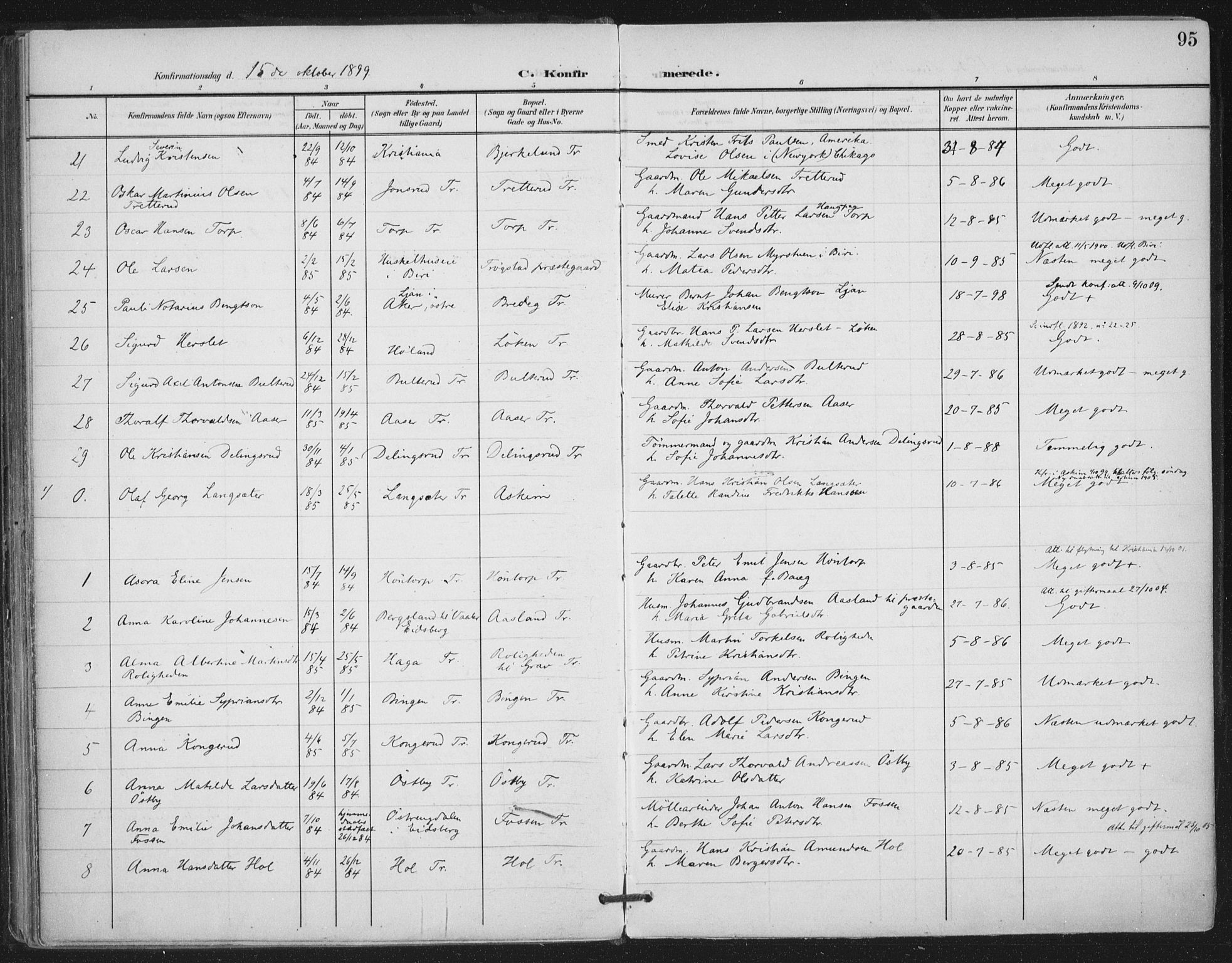 Trøgstad prestekontor Kirkebøker, SAO/A-10925/F/Fa/L0011: Parish register (official) no. I 11, 1899-1919, p. 95
