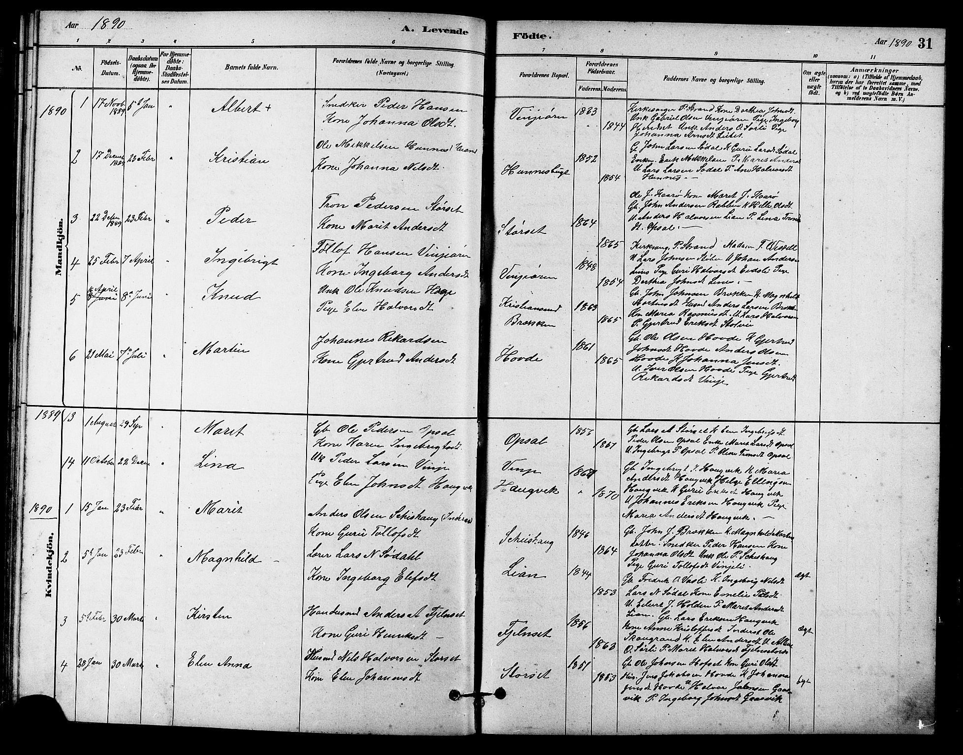 Ministerialprotokoller, klokkerbøker og fødselsregistre - Sør-Trøndelag, SAT/A-1456/631/L0514: Parish register (copy) no. 631C02, 1879-1912, p. 31
