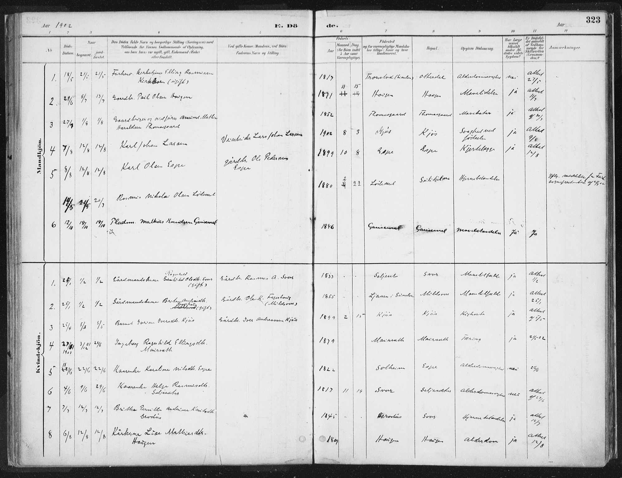 Hornindal sokneprestembete, SAB/A-82401/H/Haa/Haaa/L0003/0002: Parish register (official) no. A 3B, 1885-1917, p. 323