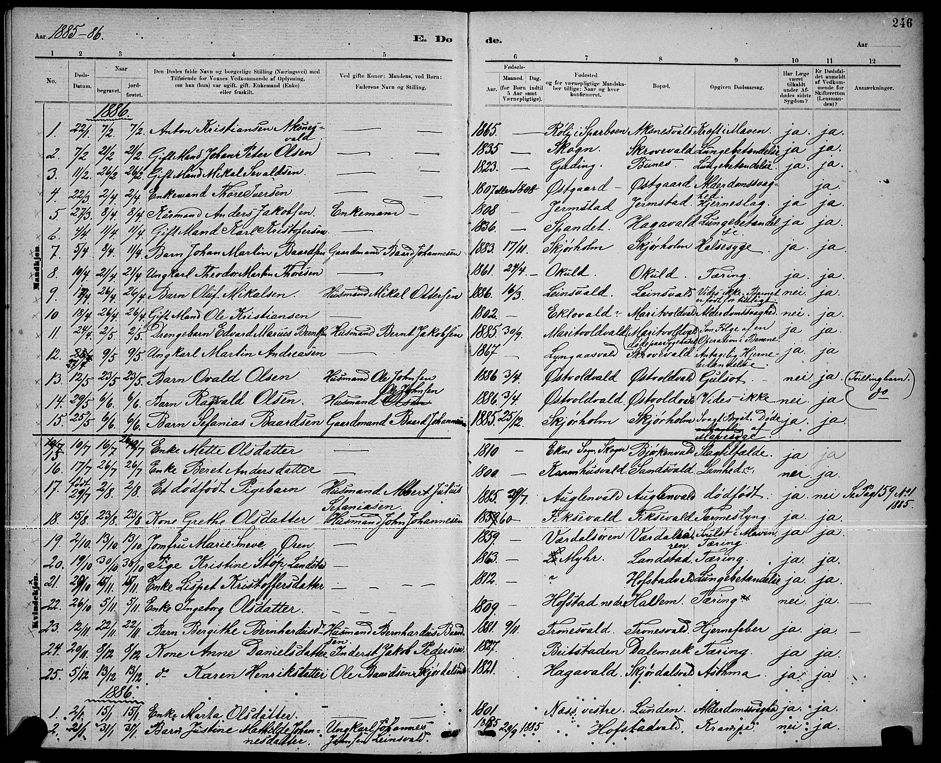 Ministerialprotokoller, klokkerbøker og fødselsregistre - Nord-Trøndelag, SAT/A-1458/723/L0256: Parish register (copy) no. 723C04, 1879-1890, p. 246