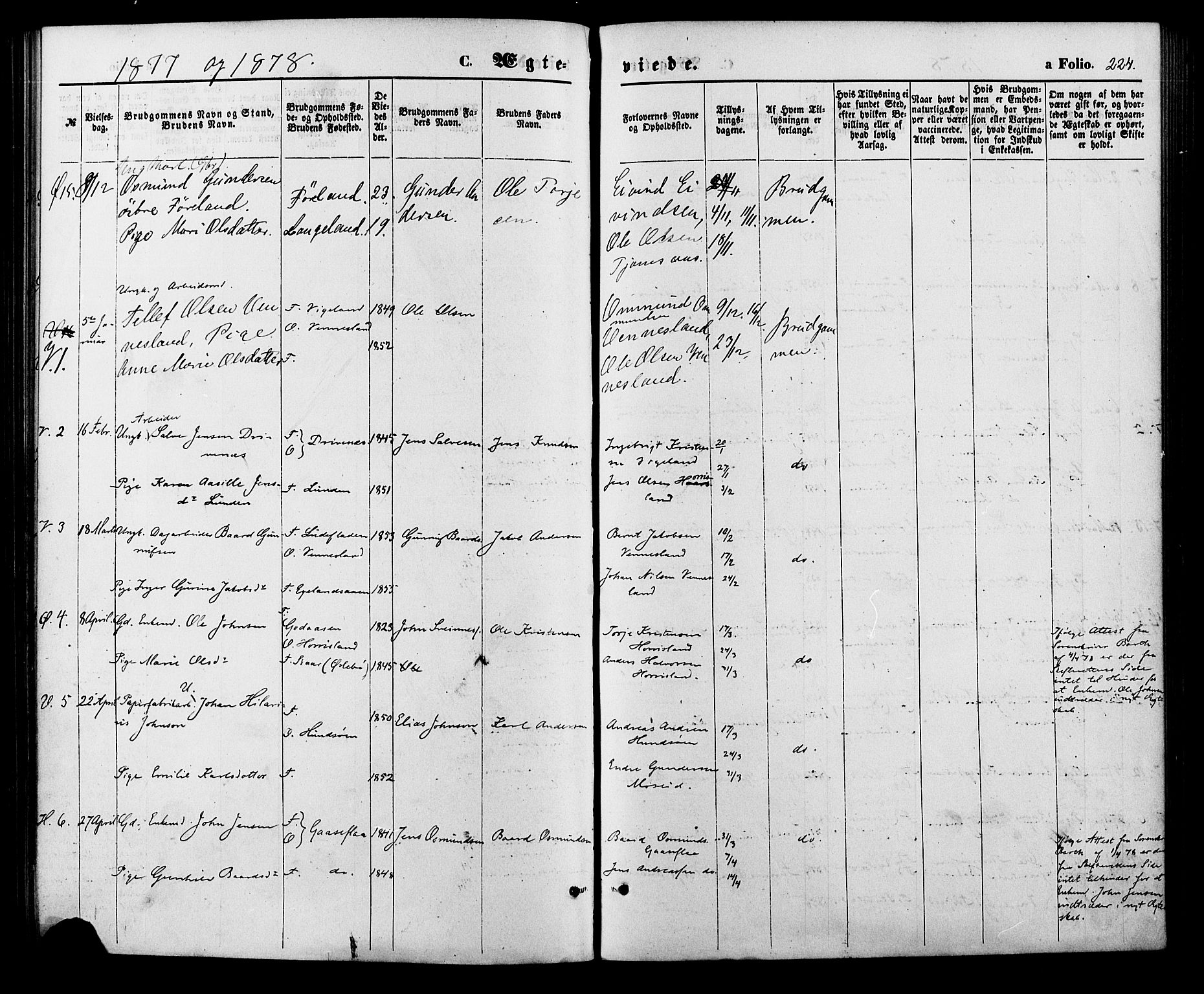 Vennesla sokneprestkontor, AV/SAK-1111-0045/Fa/Fac/L0008: Parish register (official) no. A 8, 1874-1883, p. 224