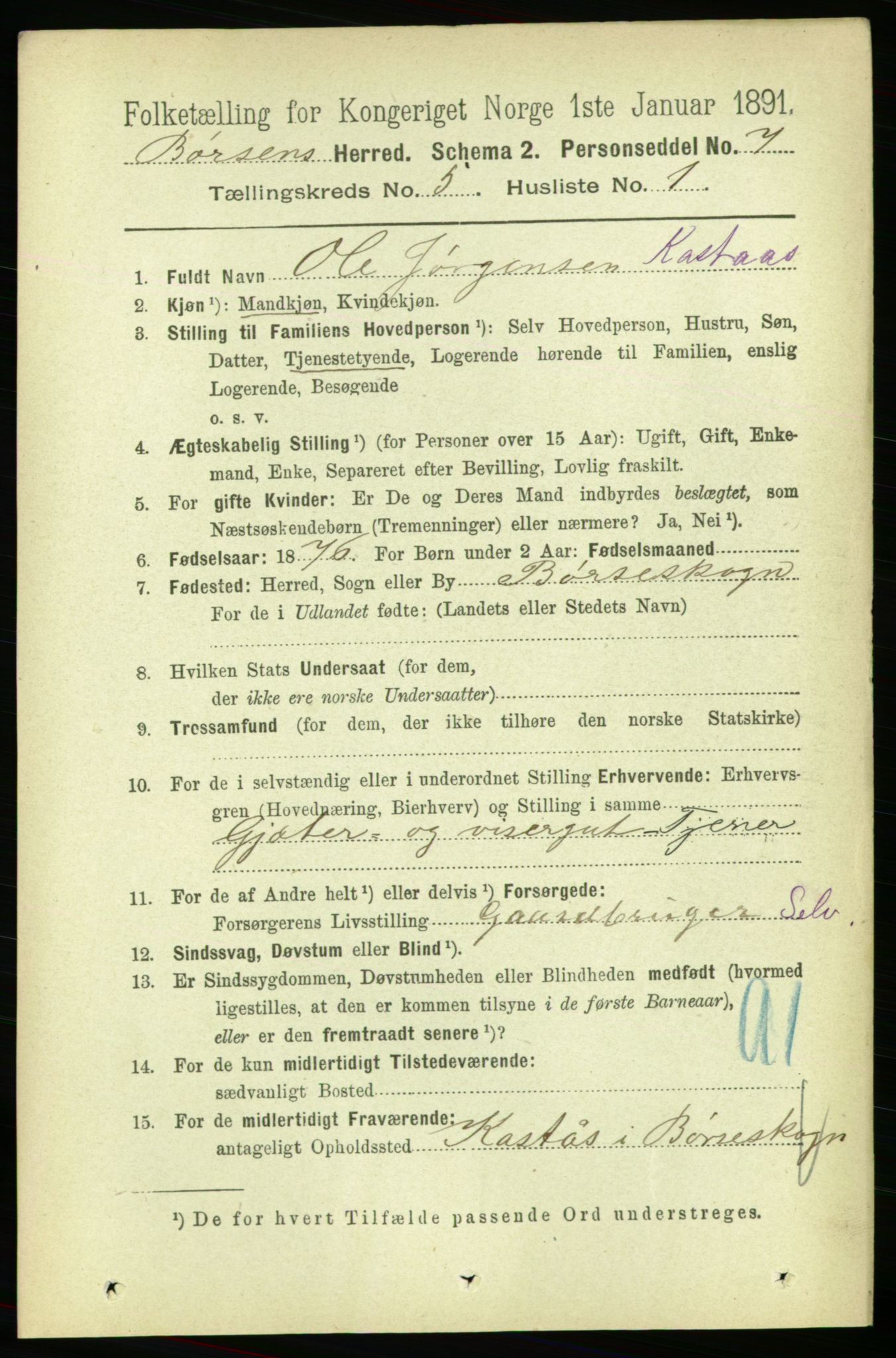 RA, 1891 census for 1658 Børsa, 1891, p. 1980