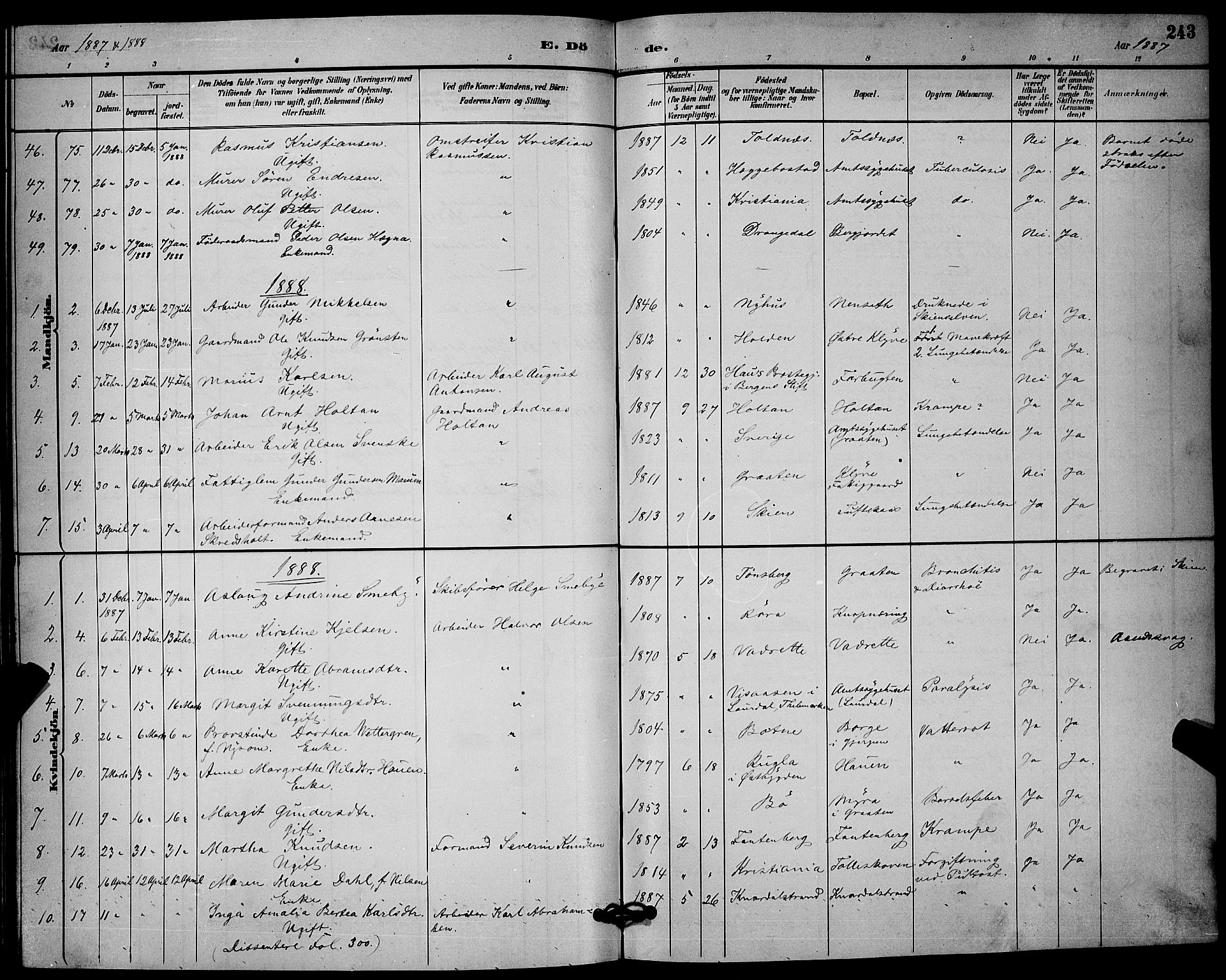 Solum kirkebøker, SAKO/A-306/G/Ga/L0007: Parish register (copy) no. I 7, 1884-1898, p. 243