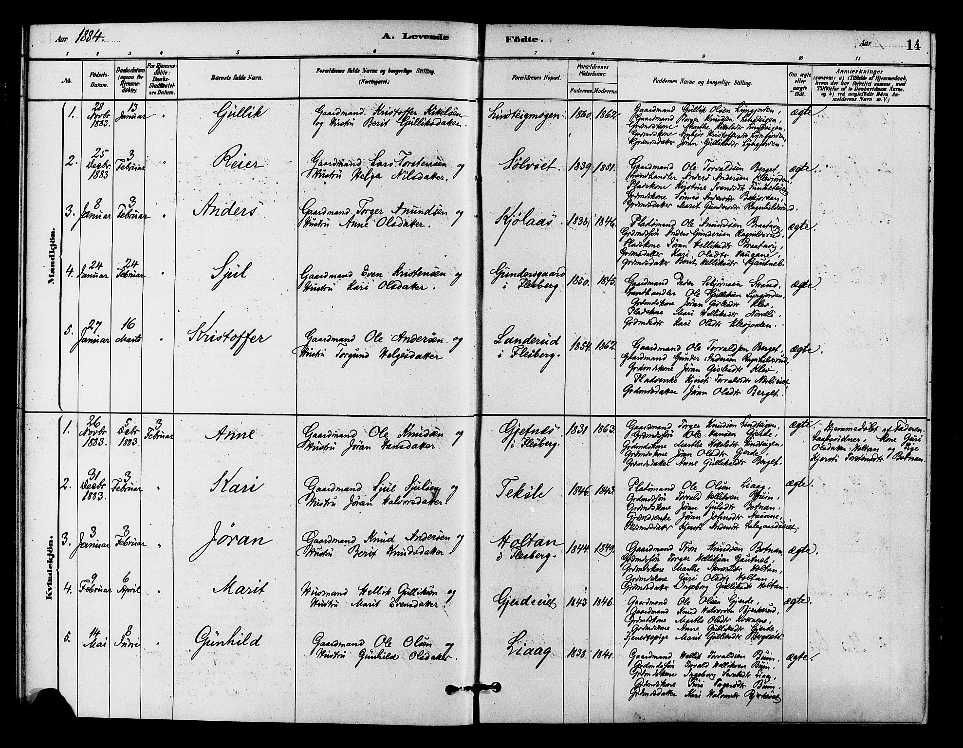 Flesberg kirkebøker, SAKO/A-18/F/Fc/L0001: Parish register (official) no. III 1, 1879-1905, p. 14