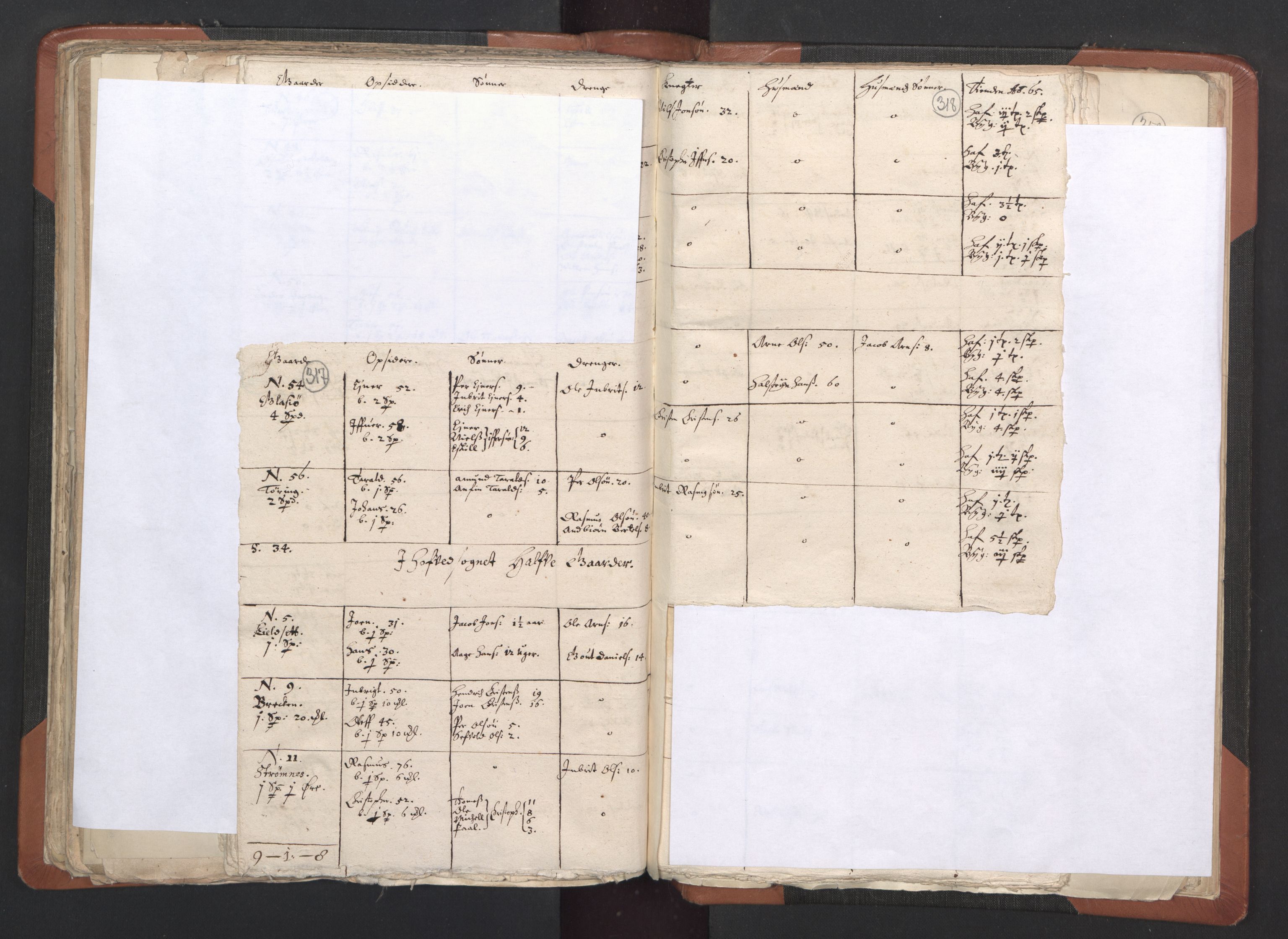 RA, Vicar's Census 1664-1666, no. 33: Innherad deanery, 1664-1666, p. 317-318