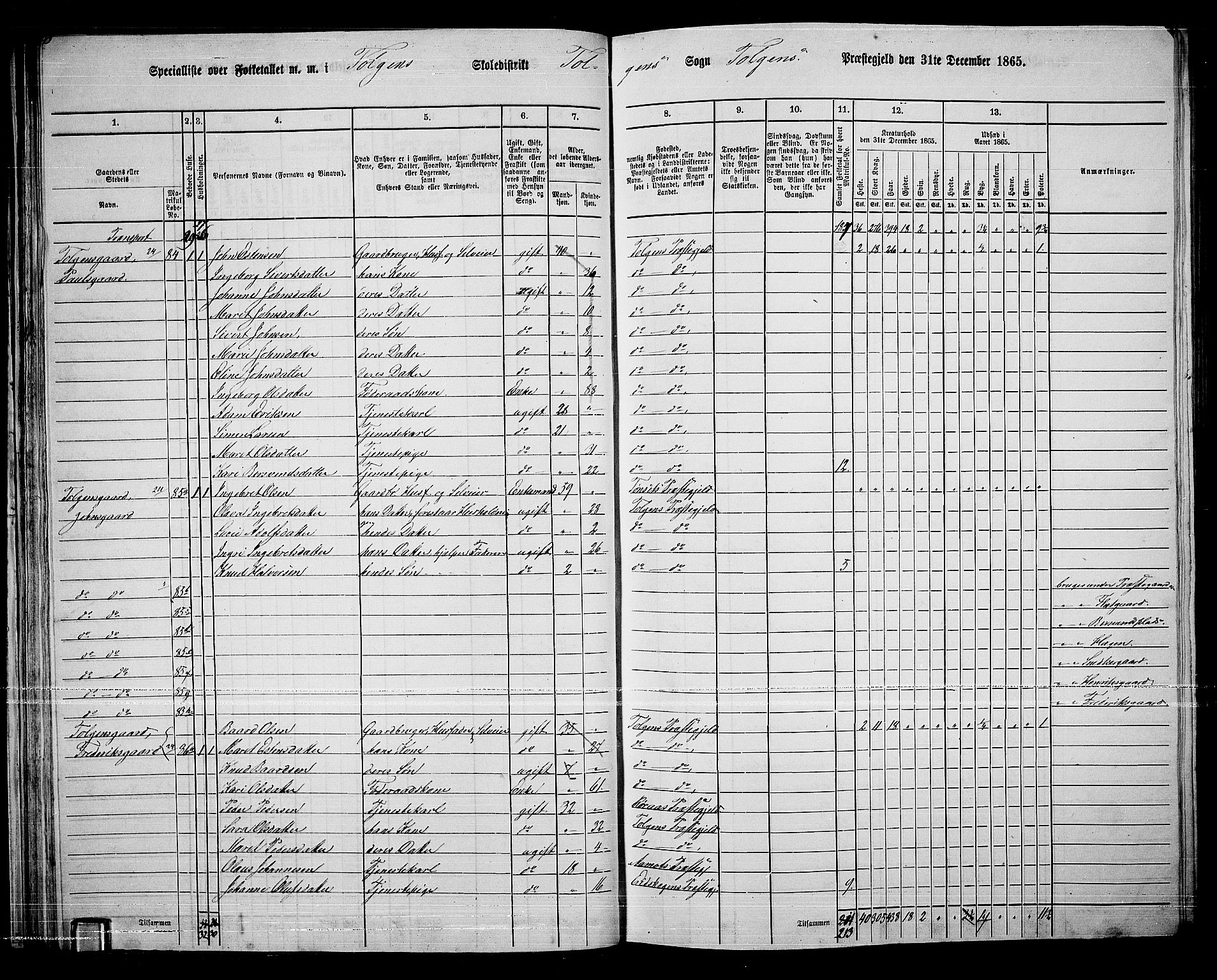 RA, 1865 census for Tolga, 1865, p. 44