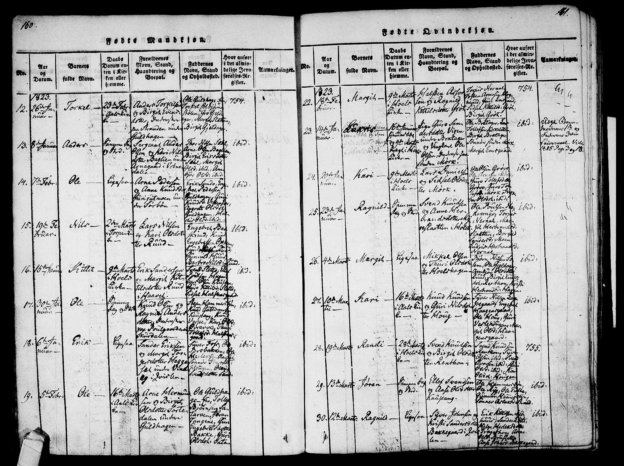 Ål kirkebøker, AV/SAKO-A-249/F/Fa/L0004: Parish register (official) no. I 4, 1815-1825, p. 160-161