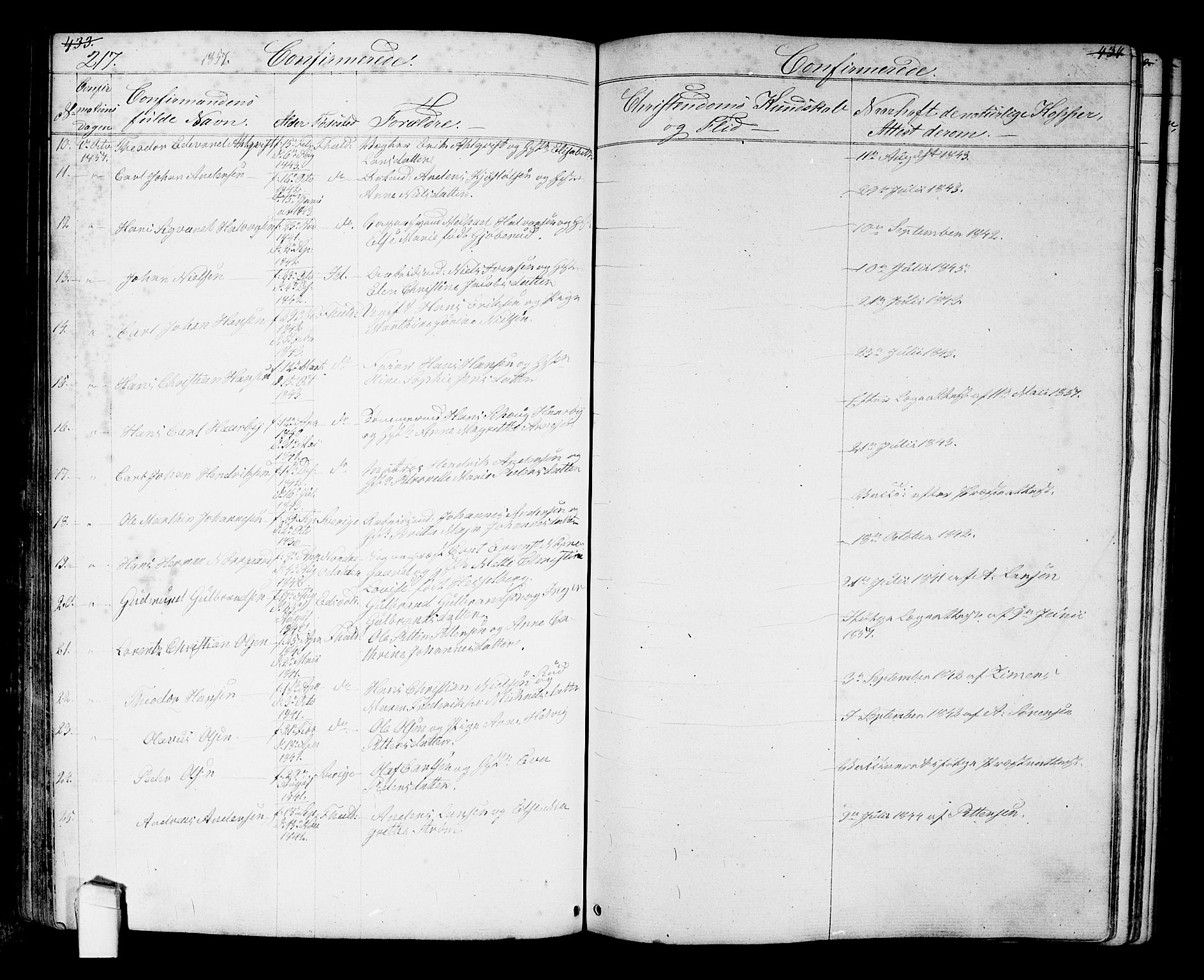 Halden prestekontor Kirkebøker, AV/SAO-A-10909/G/Ga/L0005a: Parish register (copy) no. 5A, 1855-1864, p. 217
