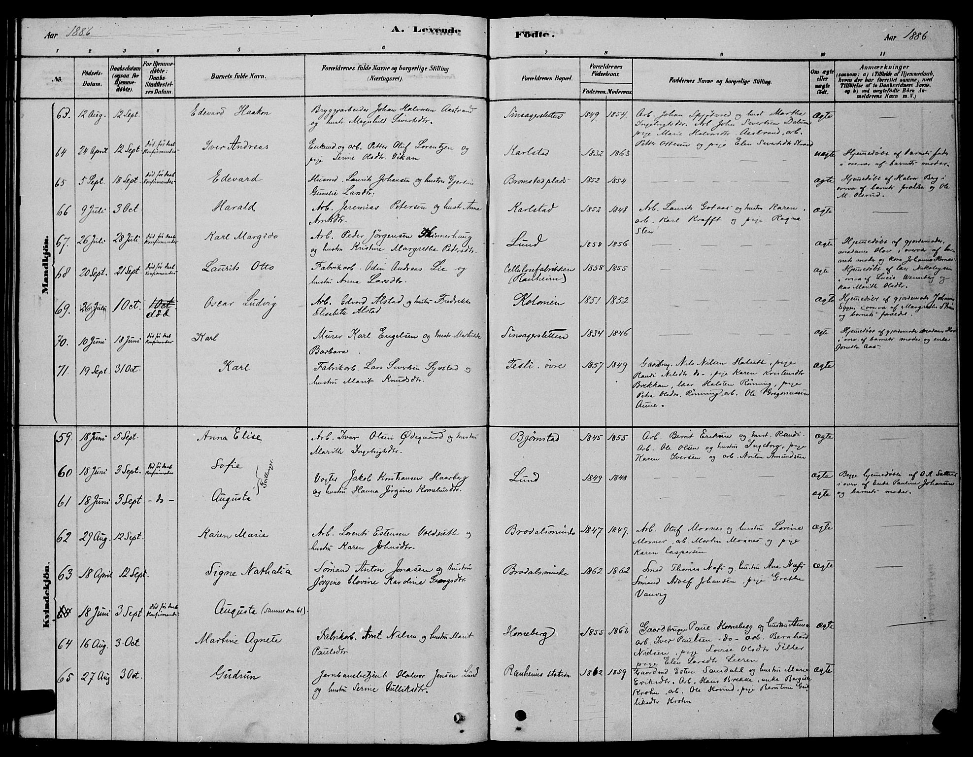 Ministerialprotokoller, klokkerbøker og fødselsregistre - Sør-Trøndelag, AV/SAT-A-1456/606/L0312: Parish register (copy) no. 606C08, 1878-1894