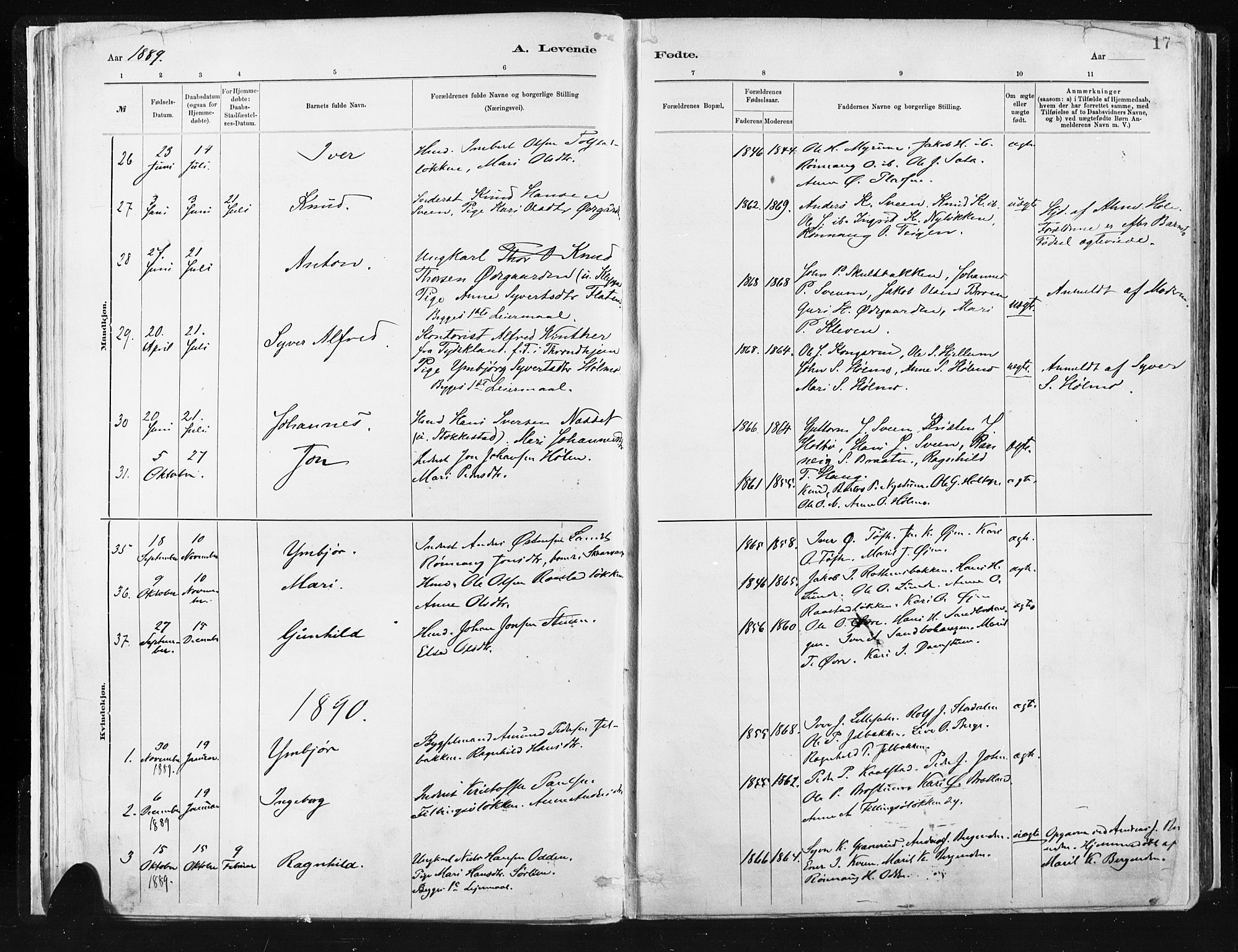 Vågå prestekontor, SAH/PREST-076/H/Ha/Haa/L0009: Parish register (official) no. 9, 1886-1904, p. 17