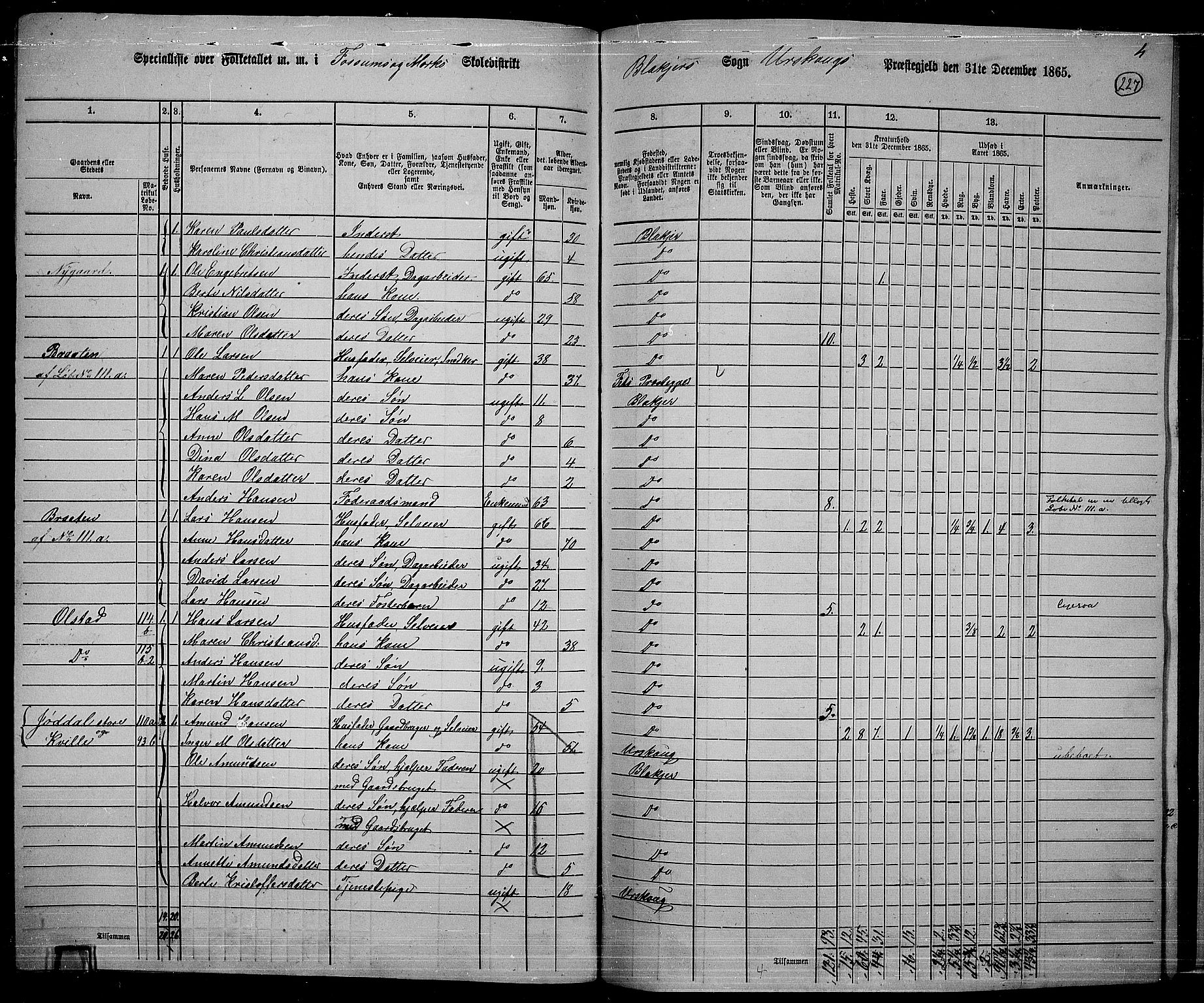 RA, 1865 census for Aurskog, 1865, p. 205