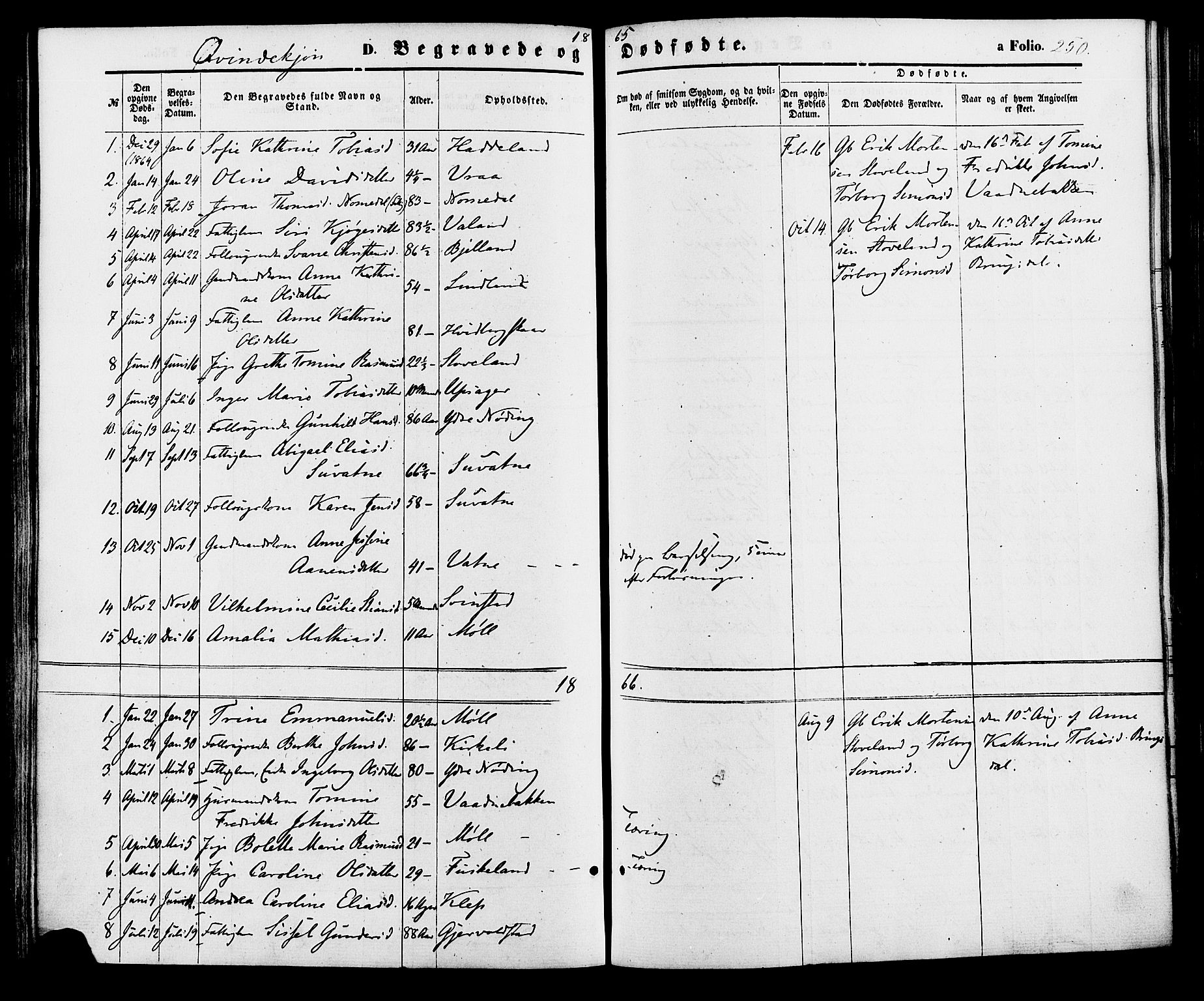 Holum sokneprestkontor, SAK/1111-0022/F/Fa/Faa/L0006: Parish register (official) no. A 6, 1865-1883, p. 250