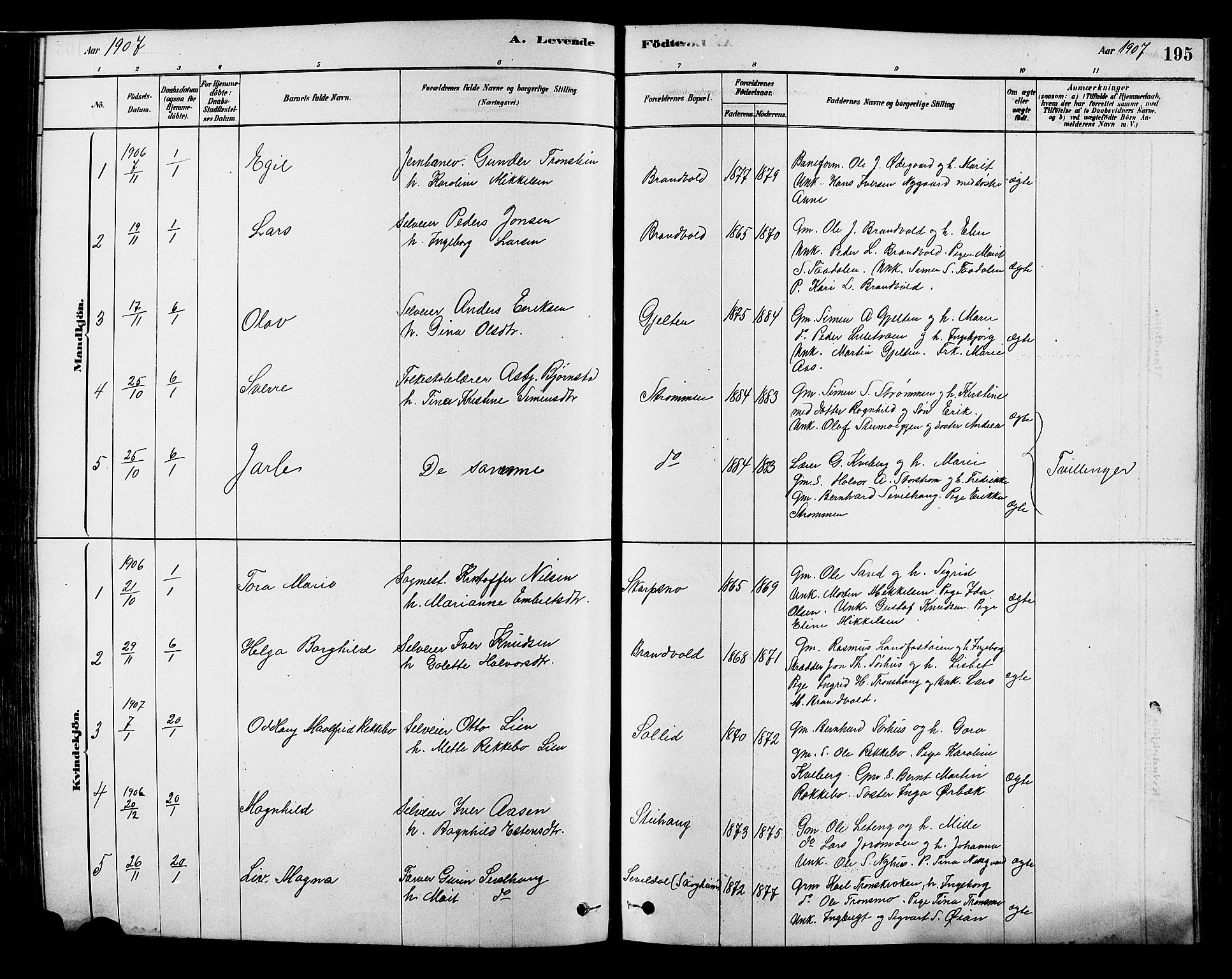 Alvdal prestekontor, SAH/PREST-060/H/Ha/Hab/L0003: Parish register (copy) no. 3, 1878-1907, p. 195