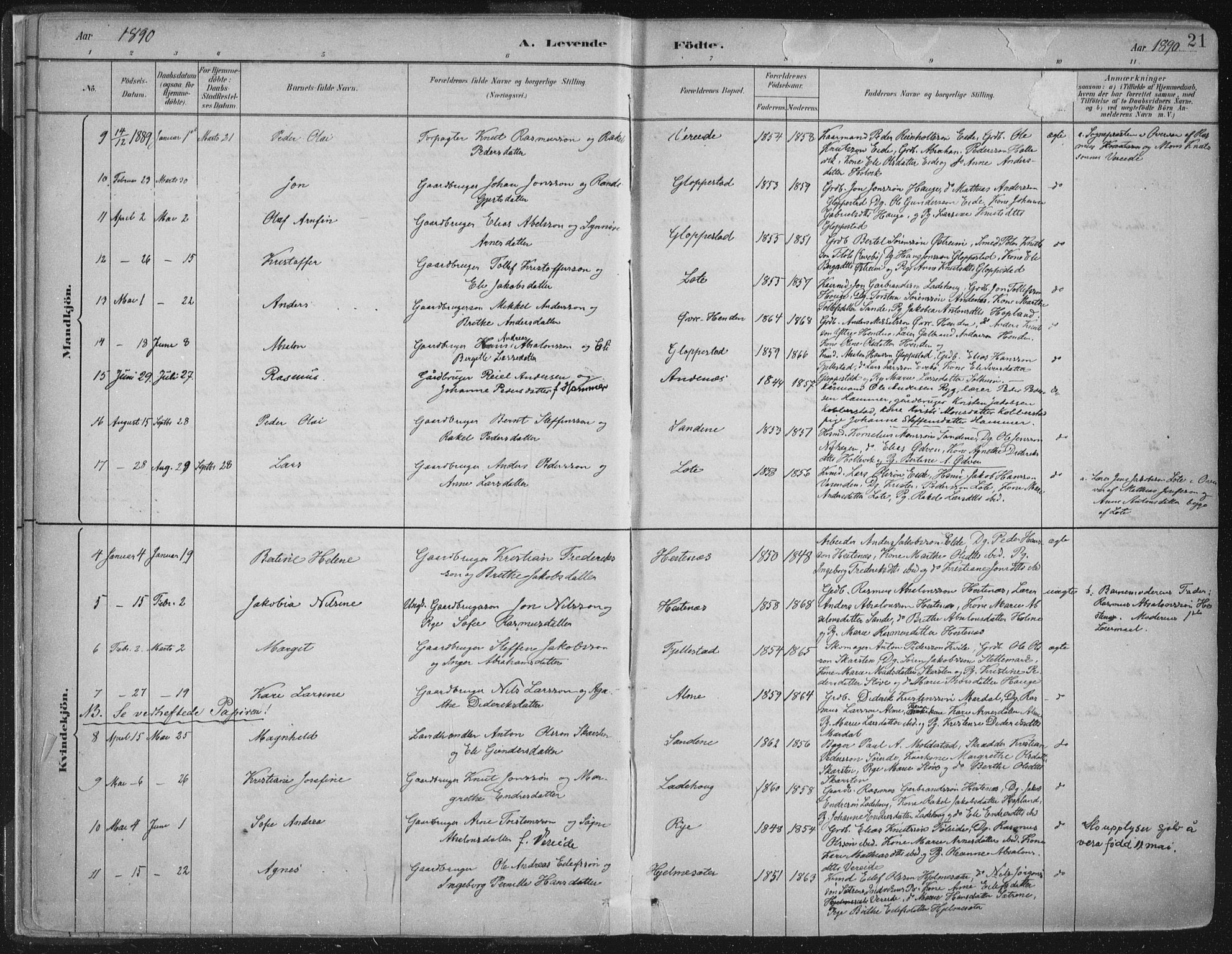 Gloppen sokneprestembete, AV/SAB-A-80101/H/Haa/Haab/L0001: Parish register (official) no. B  1, 1885-1905, p. 21