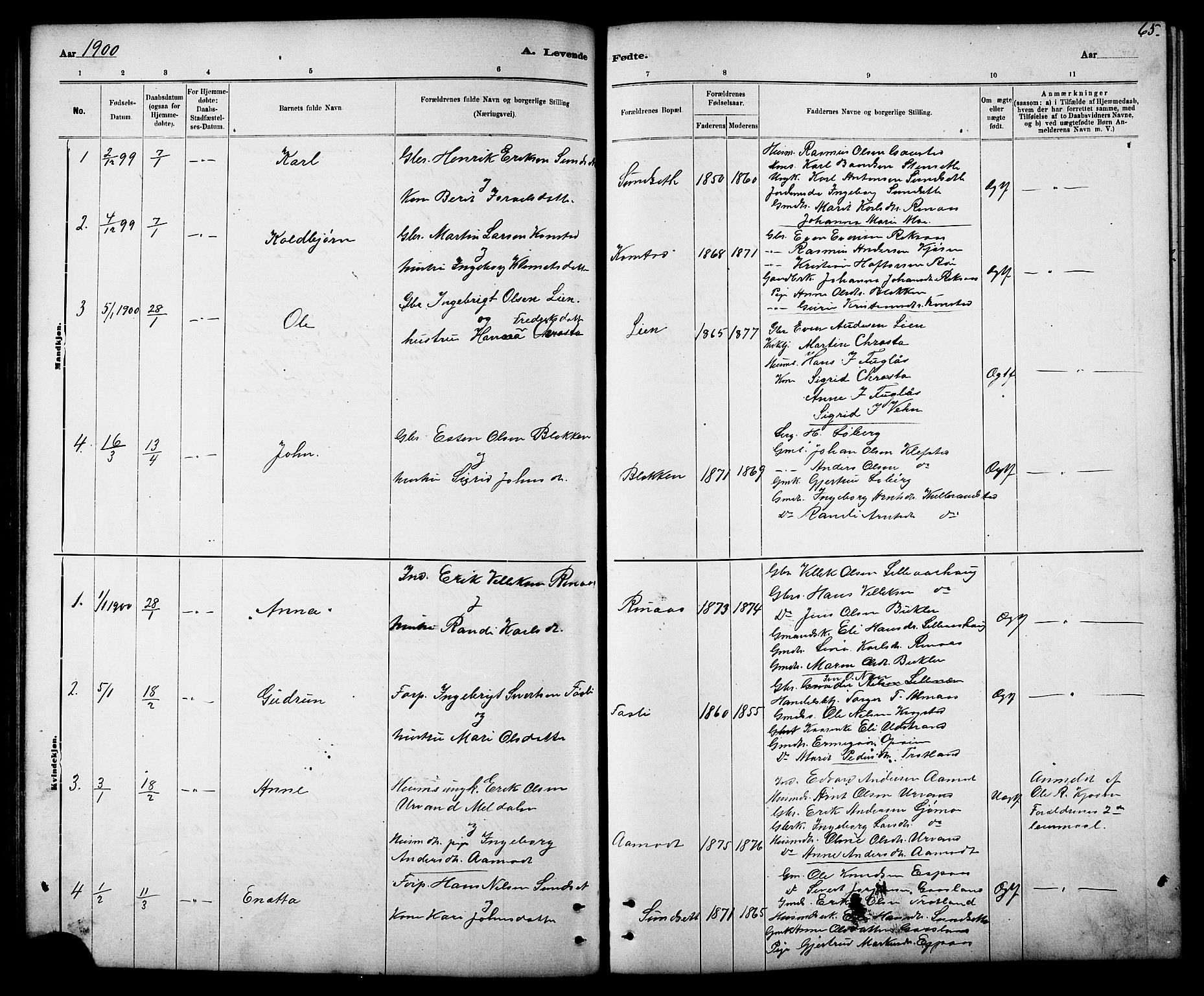 Ministerialprotokoller, klokkerbøker og fødselsregistre - Sør-Trøndelag, SAT/A-1456/694/L1132: Parish register (copy) no. 694C04, 1887-1914, p. 65