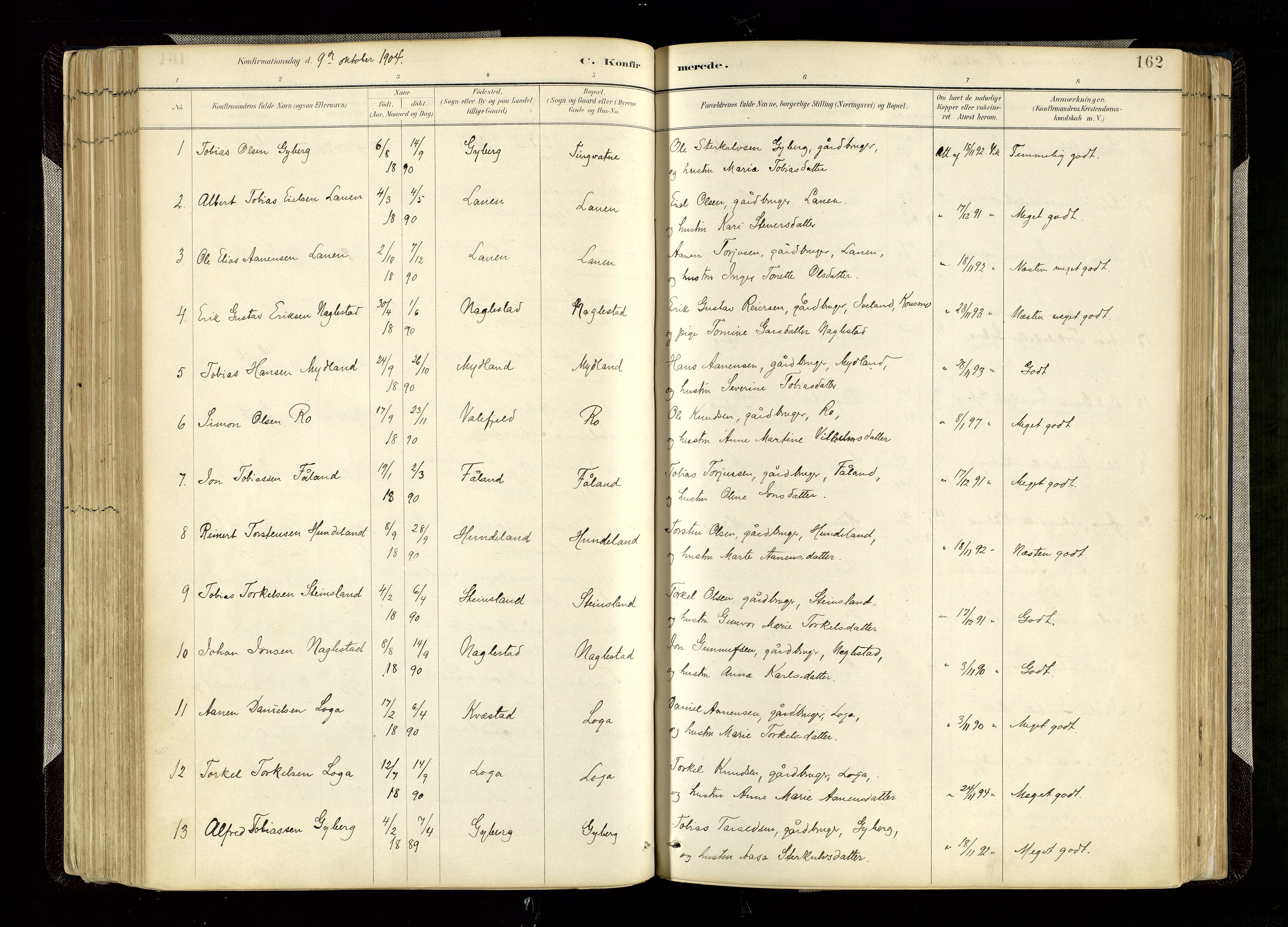 Hægebostad sokneprestkontor, SAK/1111-0024/F/Fa/Faa/L0006: Parish register (official) no. A 6, 1887-1929, p. 162