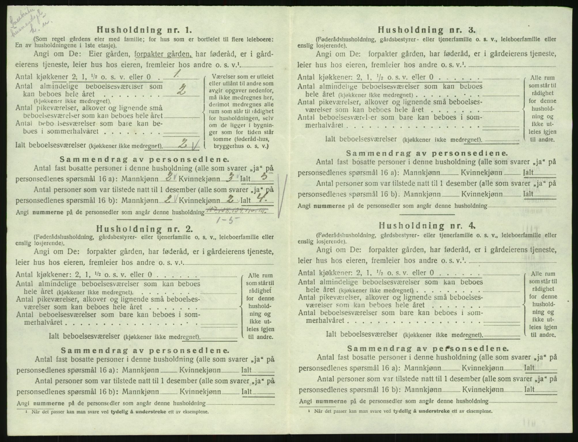 SAK, 1920 census for Hornnes, 1920, p. 242