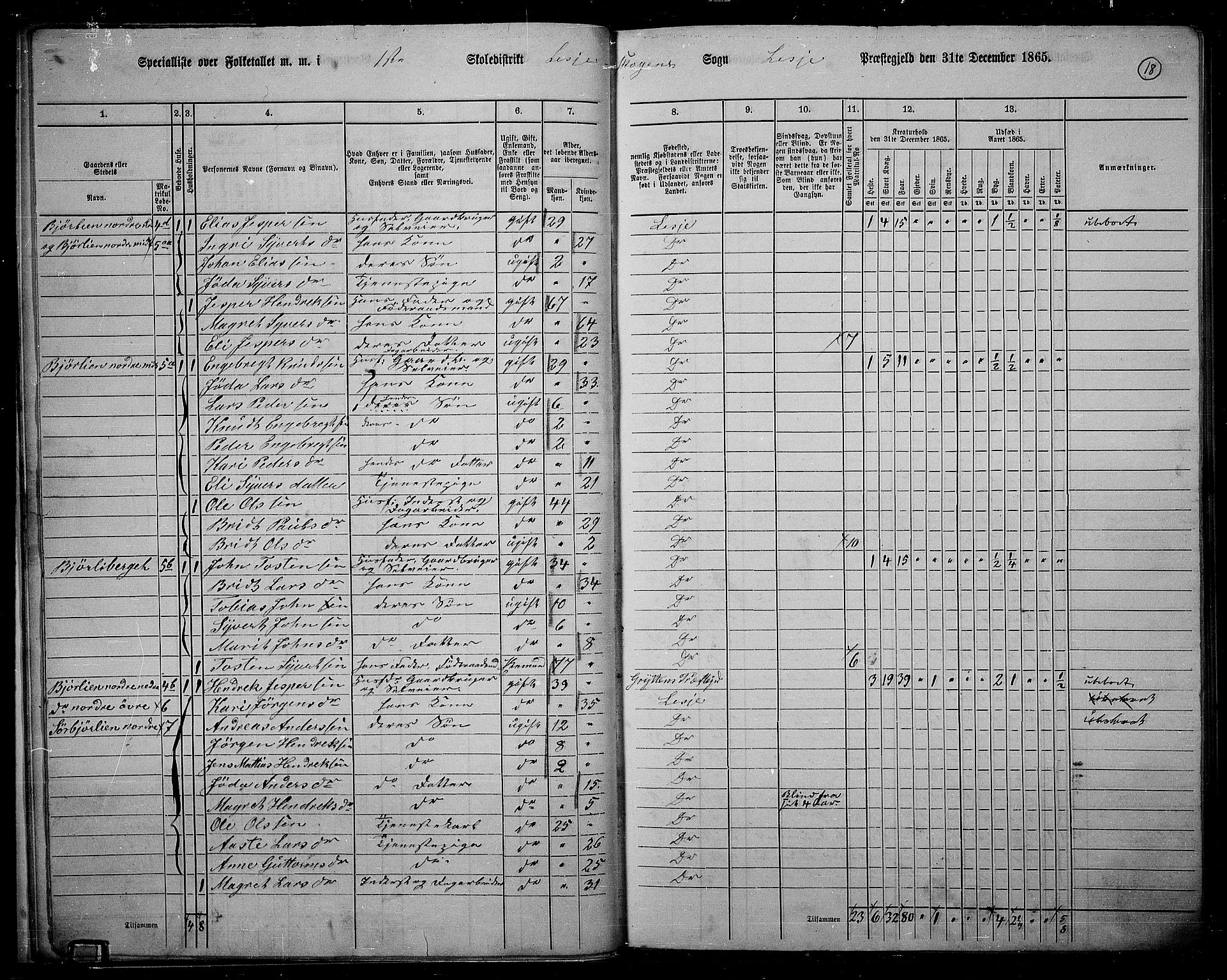 RA, 1865 census for Lesja, 1865, p. 19