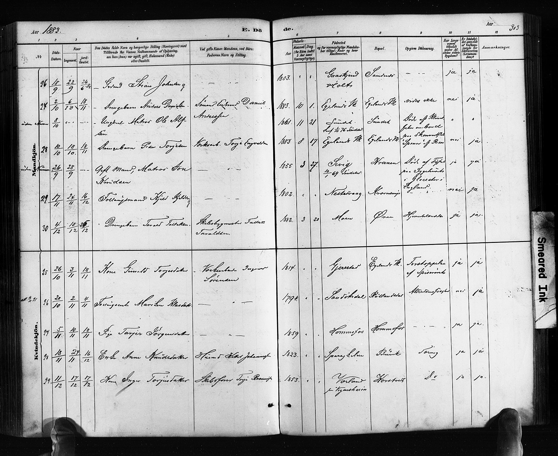 Søndeled sokneprestkontor, SAK/1111-0038/F/Fa/L0004: Parish register (official) no. A 4, 1880-1889, p. 303
