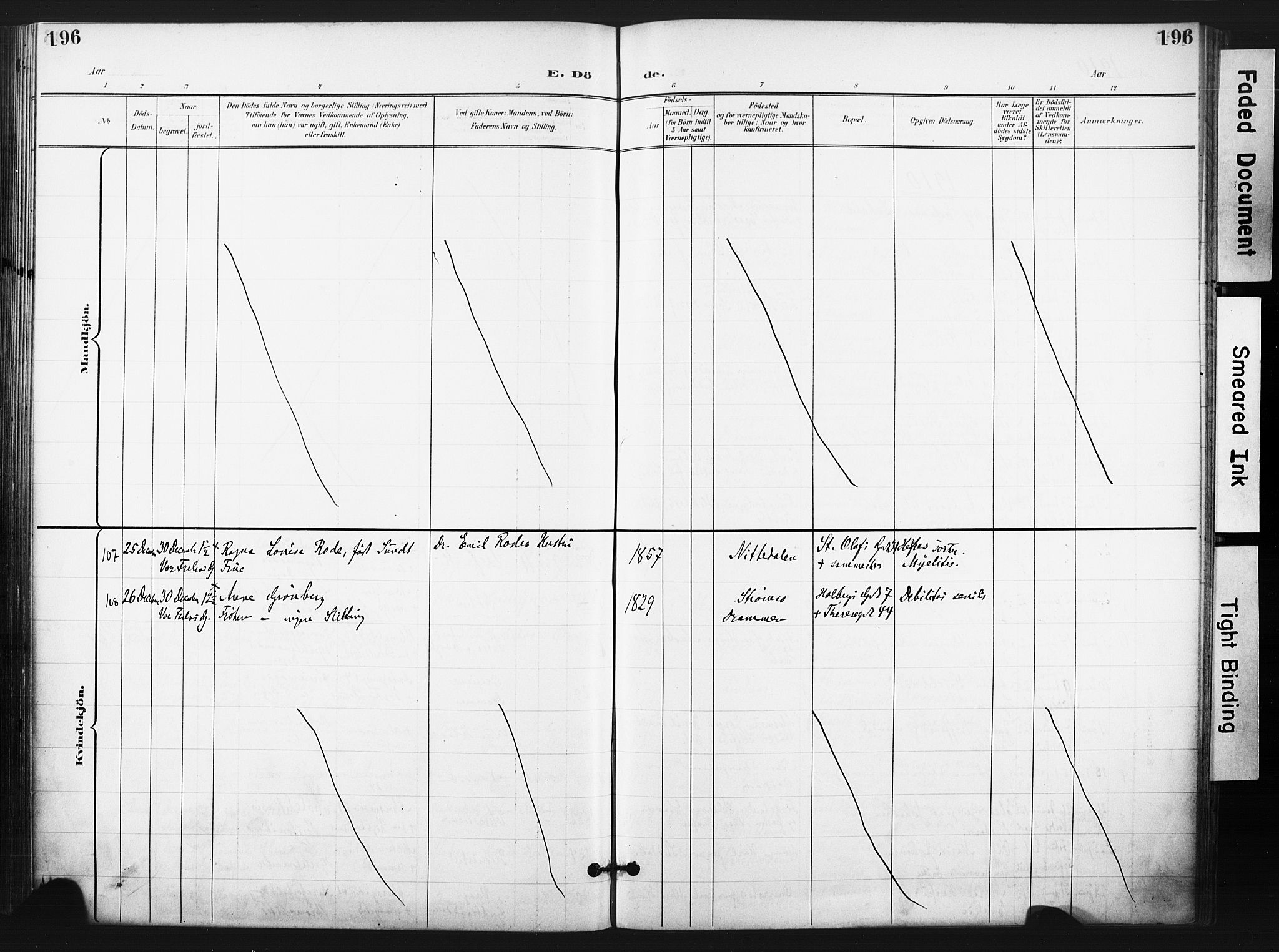 Trefoldighet prestekontor Kirkebøker, AV/SAO-A-10882/F/Fd/L0004: Parish register (official) no. IV 4, 1897-1912, p. 196