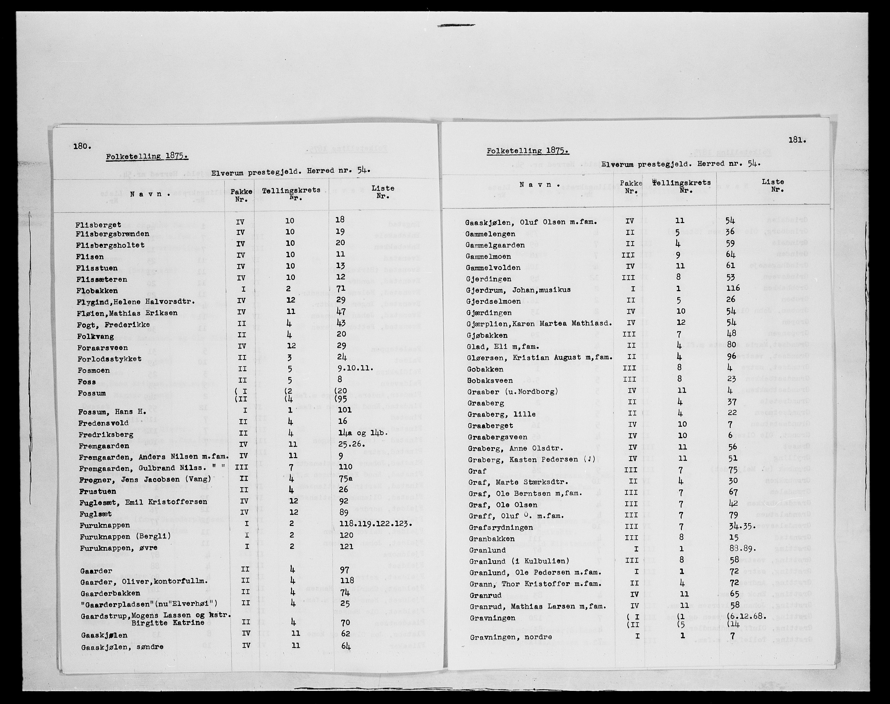 SAH, 1875 census for 0427P Elverum, 1875, p. 5