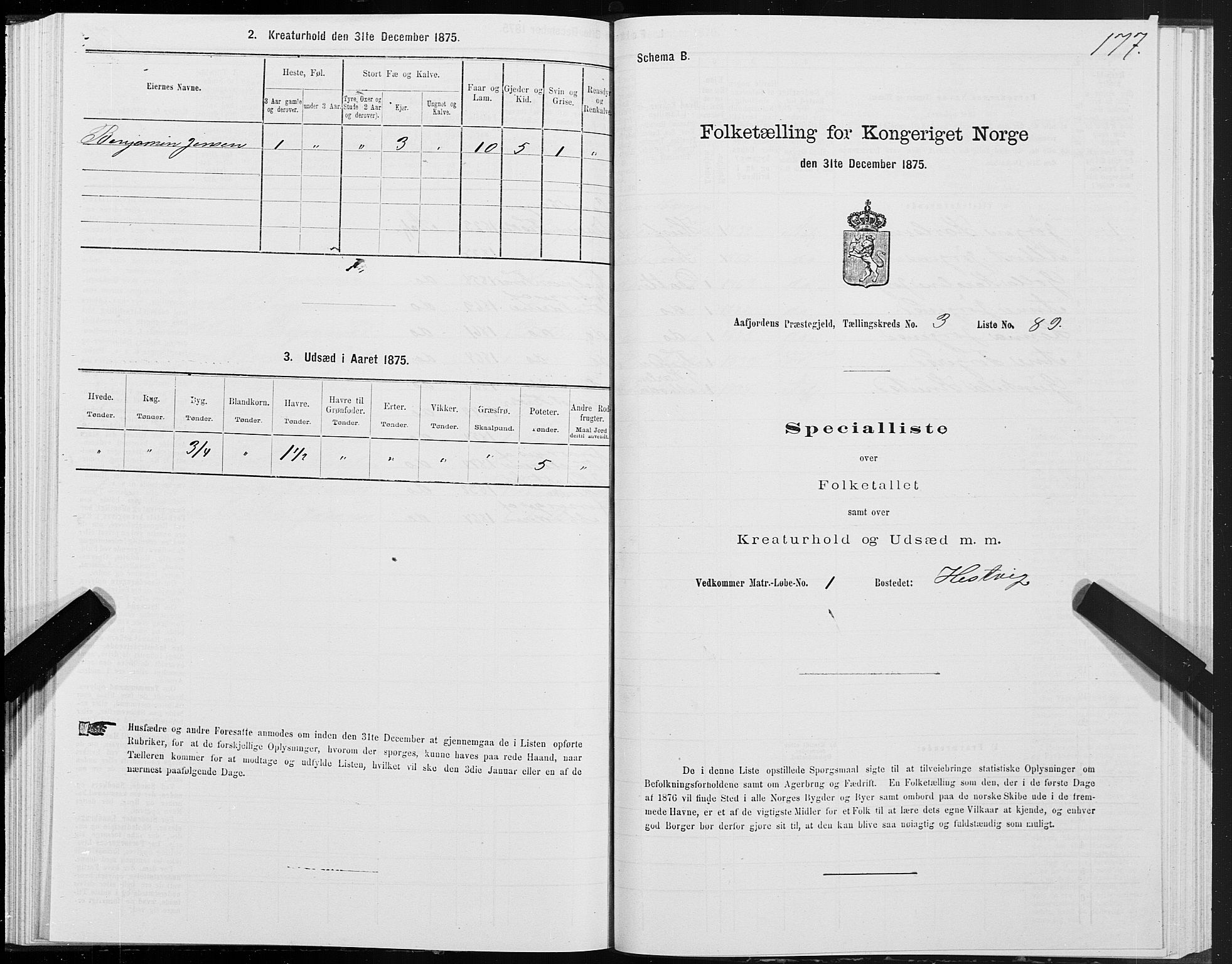 SAT, 1875 census for 1630P Aafjorden, 1875, p. 2177