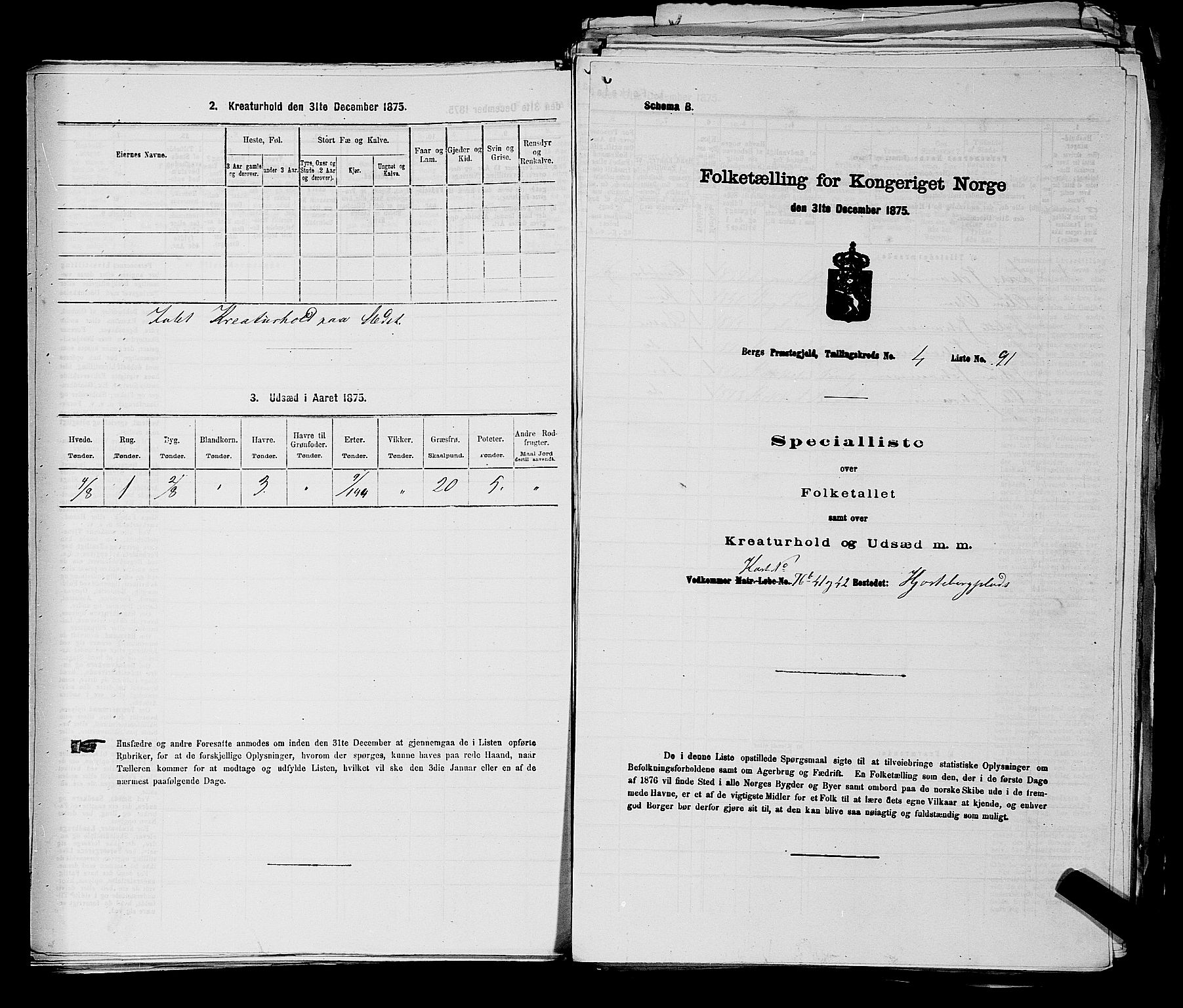 RA, 1875 census for 0116P Berg, 1875, p. 499