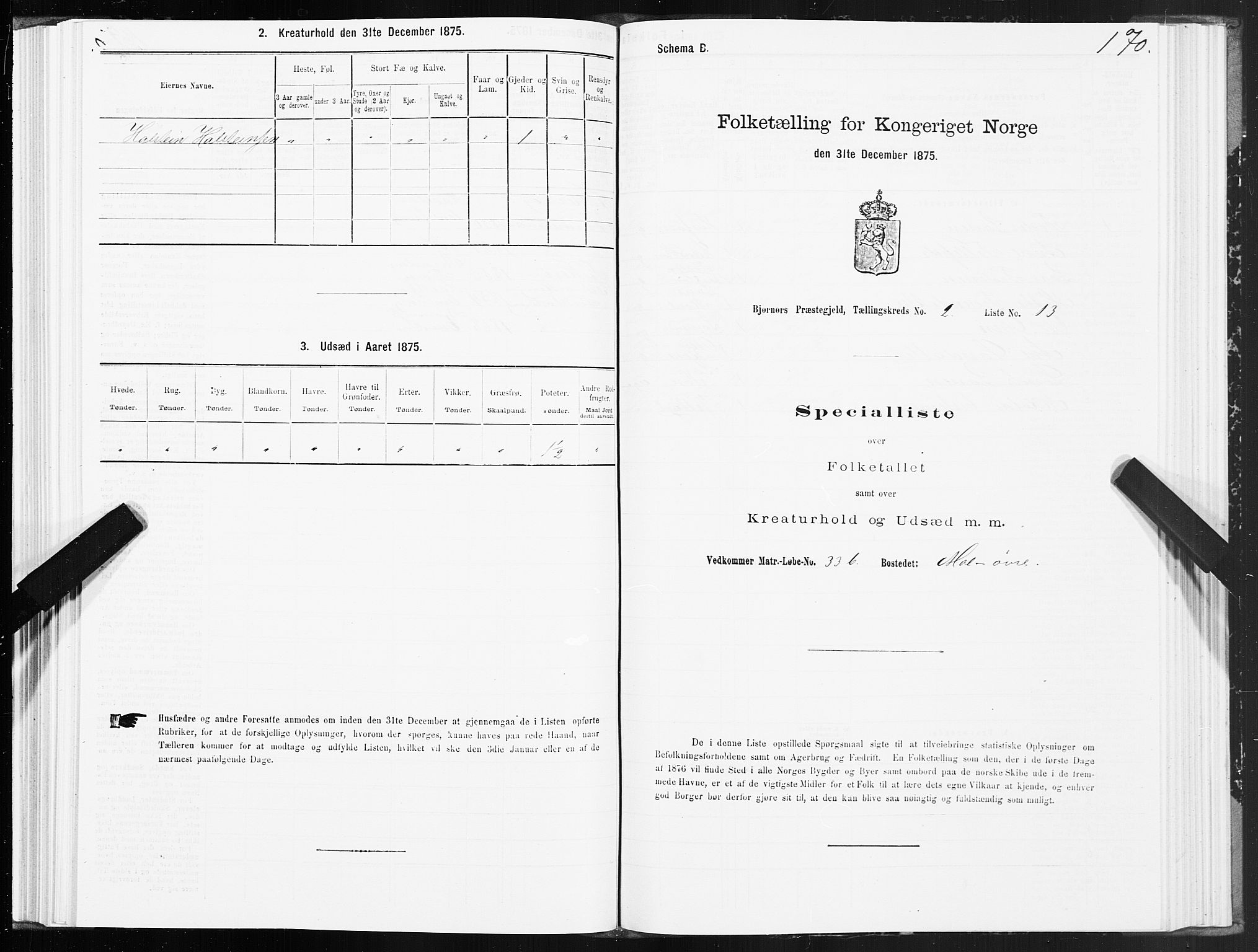 SAT, 1875 census for 1632P Bjørnør, 1875, p. 1170