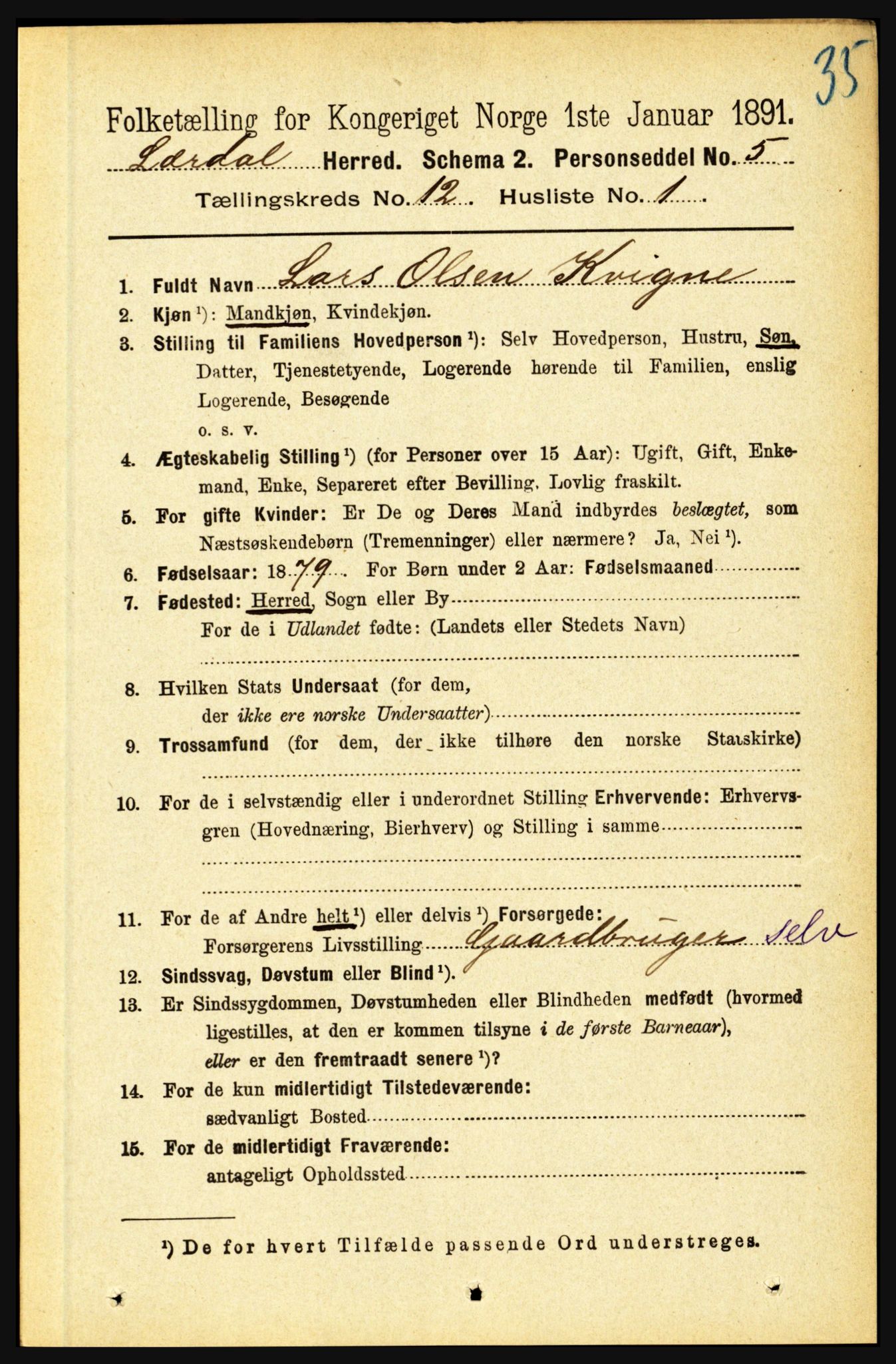 RA, 1891 census for 1422 Lærdal, 1891, p. 2552