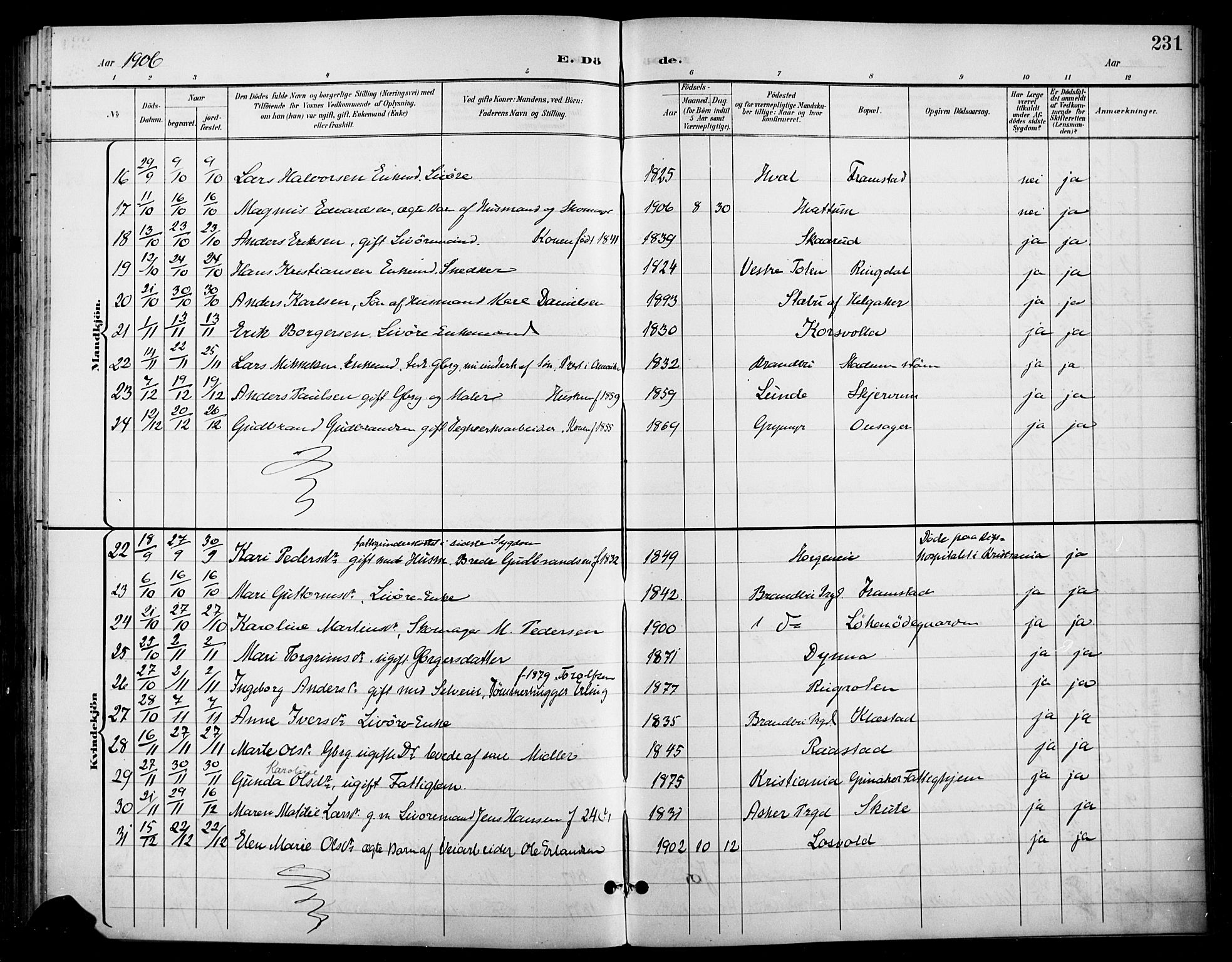 Gran prestekontor, SAH/PREST-112/H/Ha/Haa/L0019: Parish register (official) no. 19, 1898-1907, p. 231