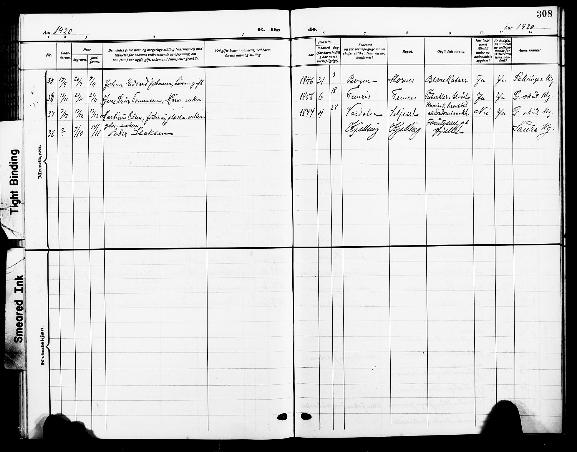 Ministerialprotokoller, klokkerbøker og fødselsregistre - Nordland, SAT/A-1459/805/L0110: Parish register (copy) no. 805C06, 1909-1924, p. 308