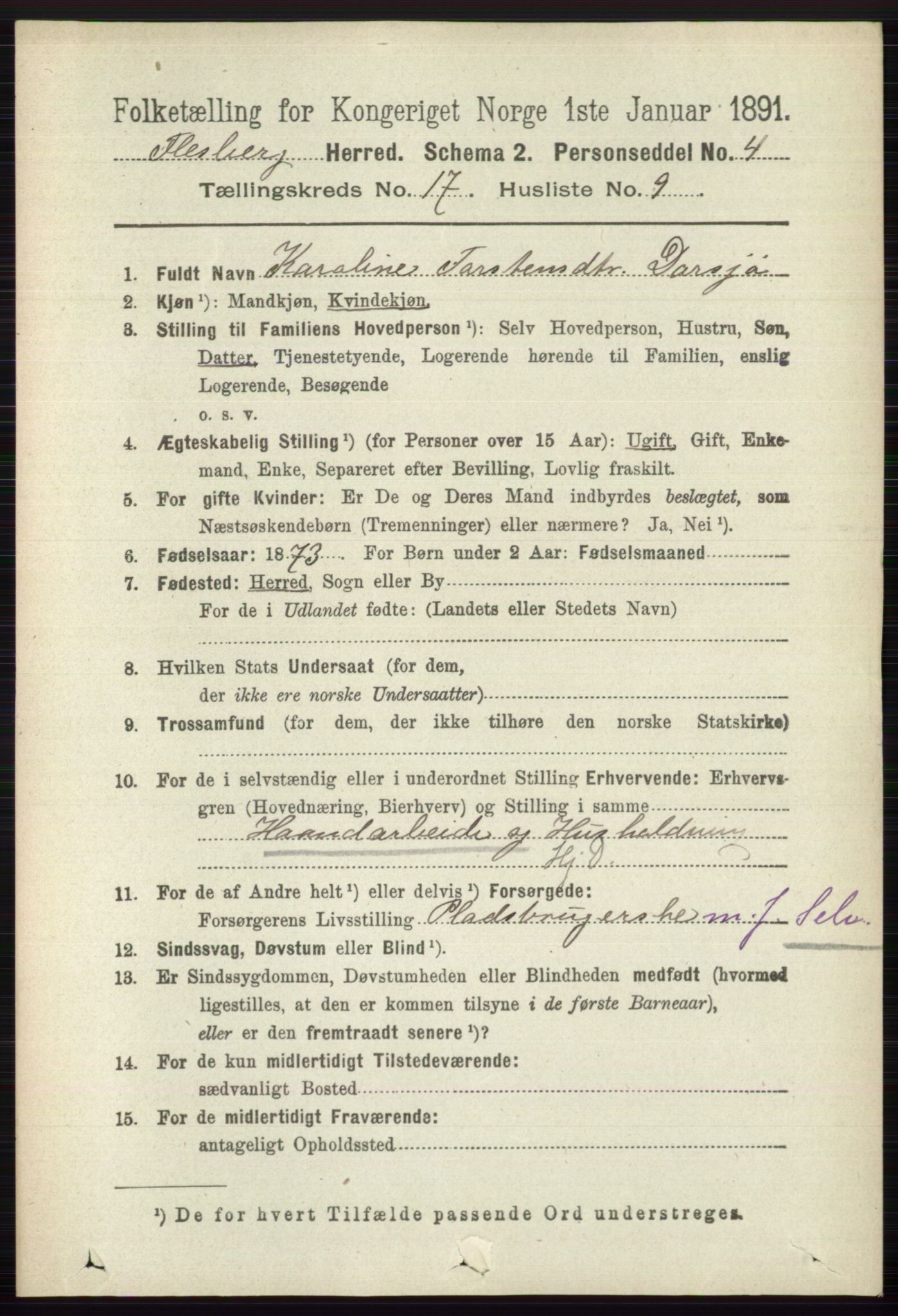 RA, 1891 census for 0631 Flesberg, 1891, p. 3035
