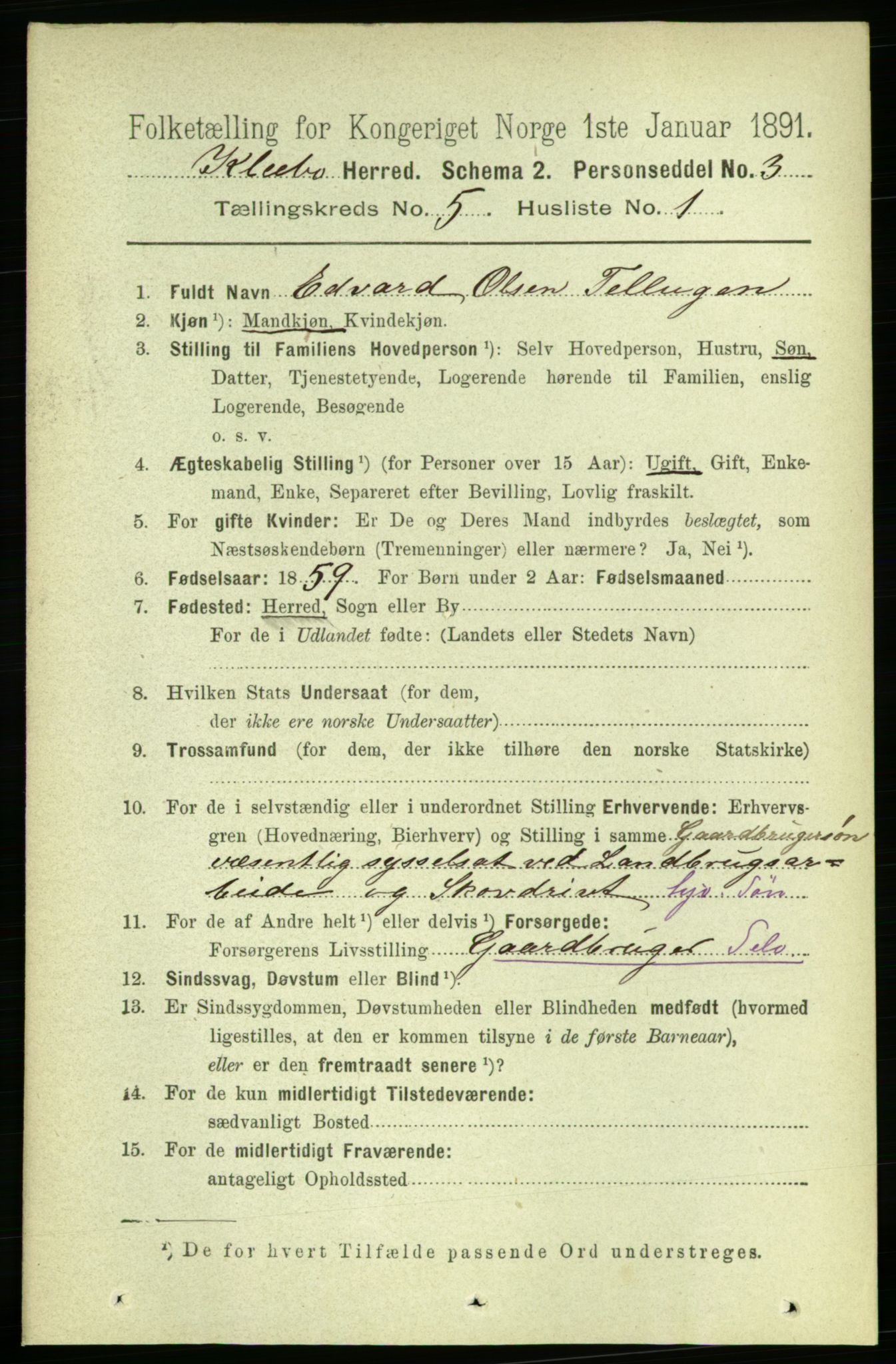 RA, 1891 census for 1662 Klæbu, 1891, p. 1043