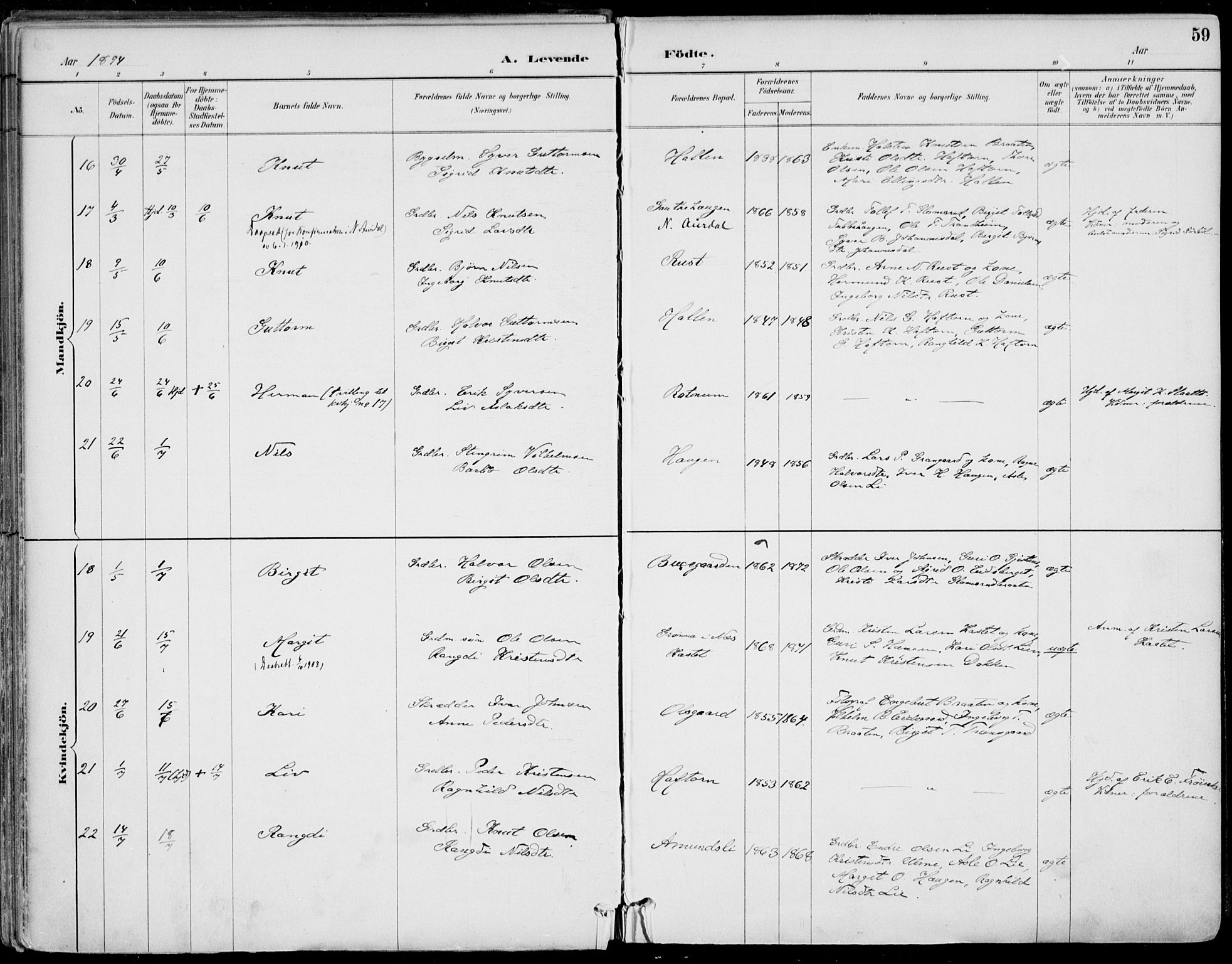 Gol kirkebøker, AV/SAKO-A-226/F/Fa/L0005: Parish register (official) no. I 5, 1887-1900, p. 59