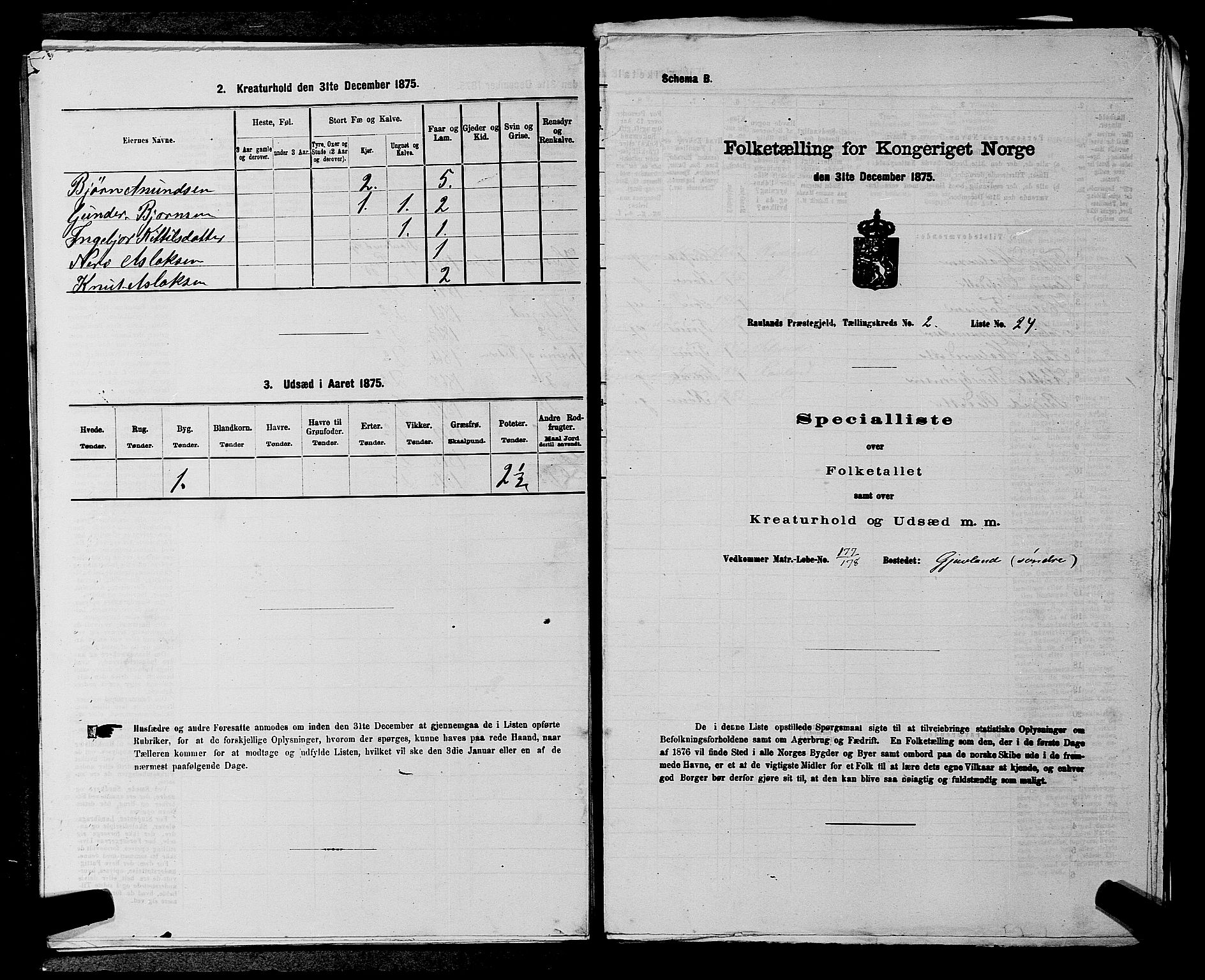 SAKO, 1875 census for 0835P Rauland, 1875, p. 145