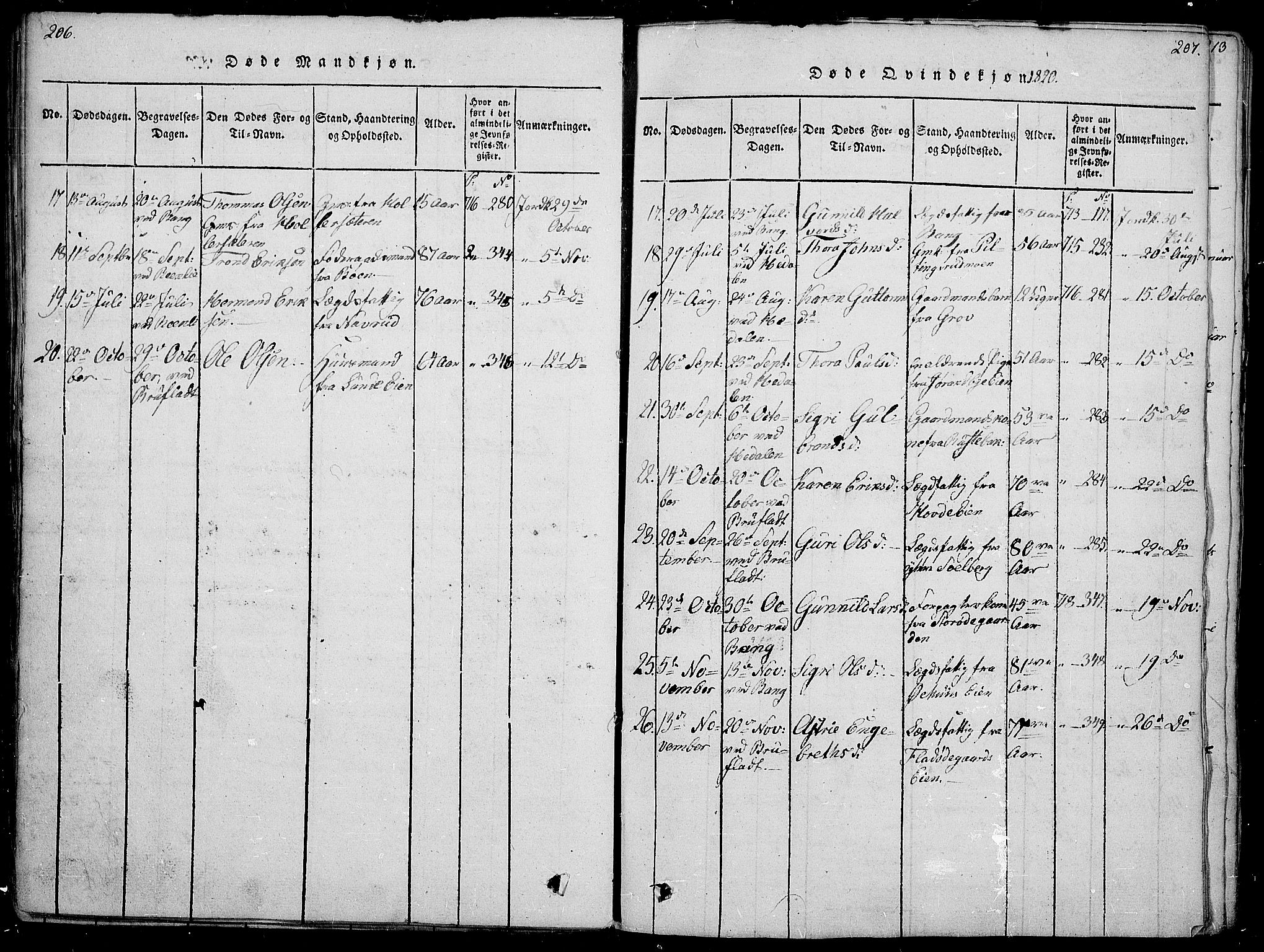 Sør-Aurdal prestekontor, AV/SAH-PREST-128/H/Ha/Haa/L0002: Parish register (official) no. 2, 1815-1840, p. 206-207