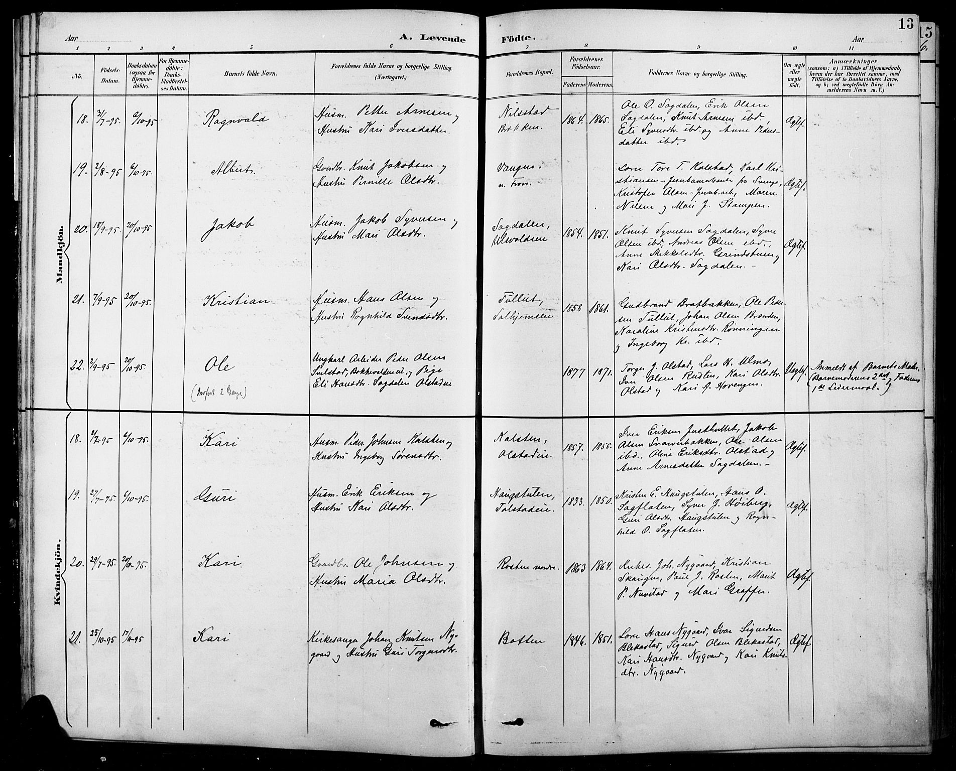 Sel prestekontor, AV/SAH-PREST-074/H/Ha/Hab/L0001: Parish register (copy) no. 1, 1894-1923, p. 13