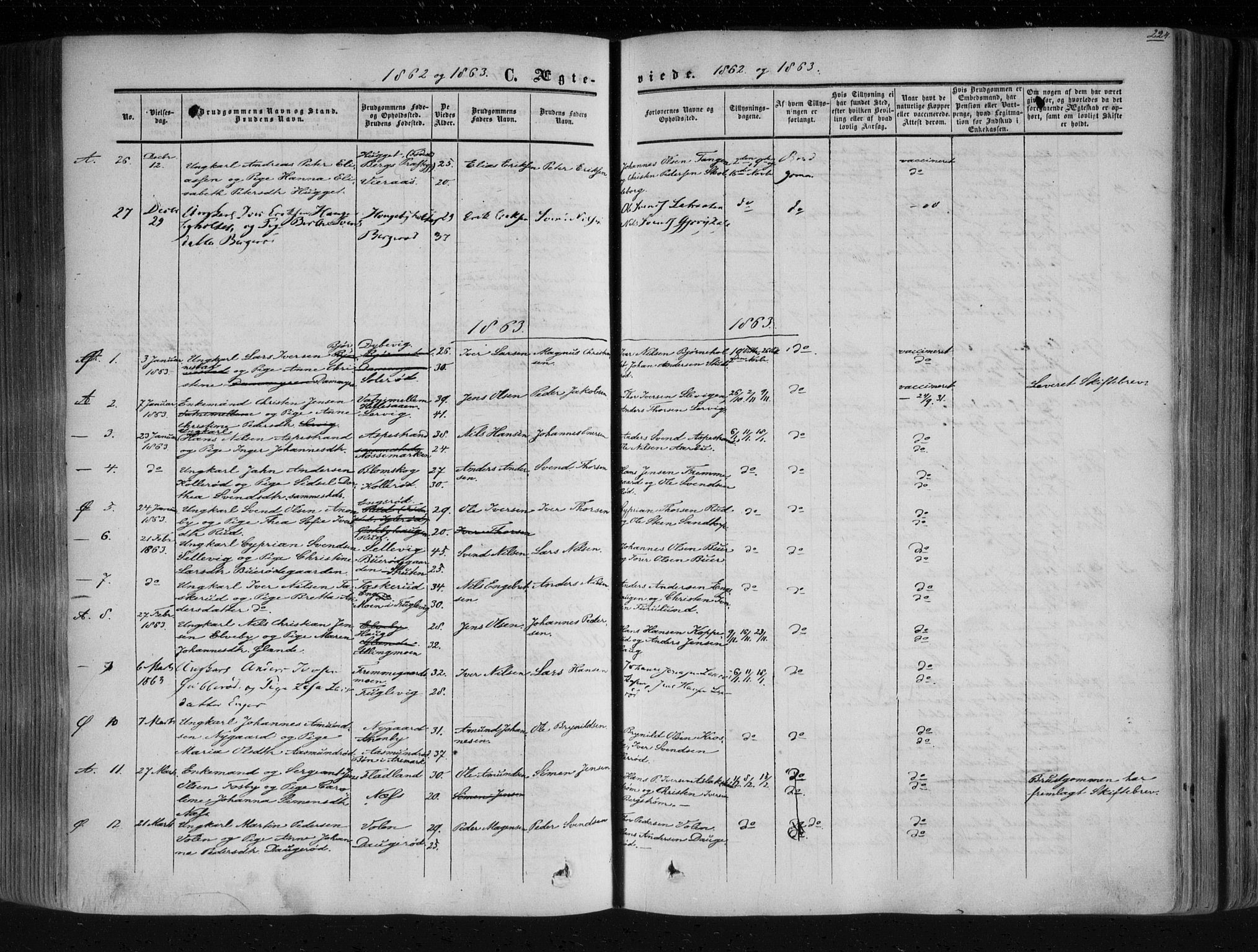 Aremark prestekontor Kirkebøker, AV/SAO-A-10899/F/Fc/L0003: Parish register (official) no. III 3, 1850-1865, p. 224