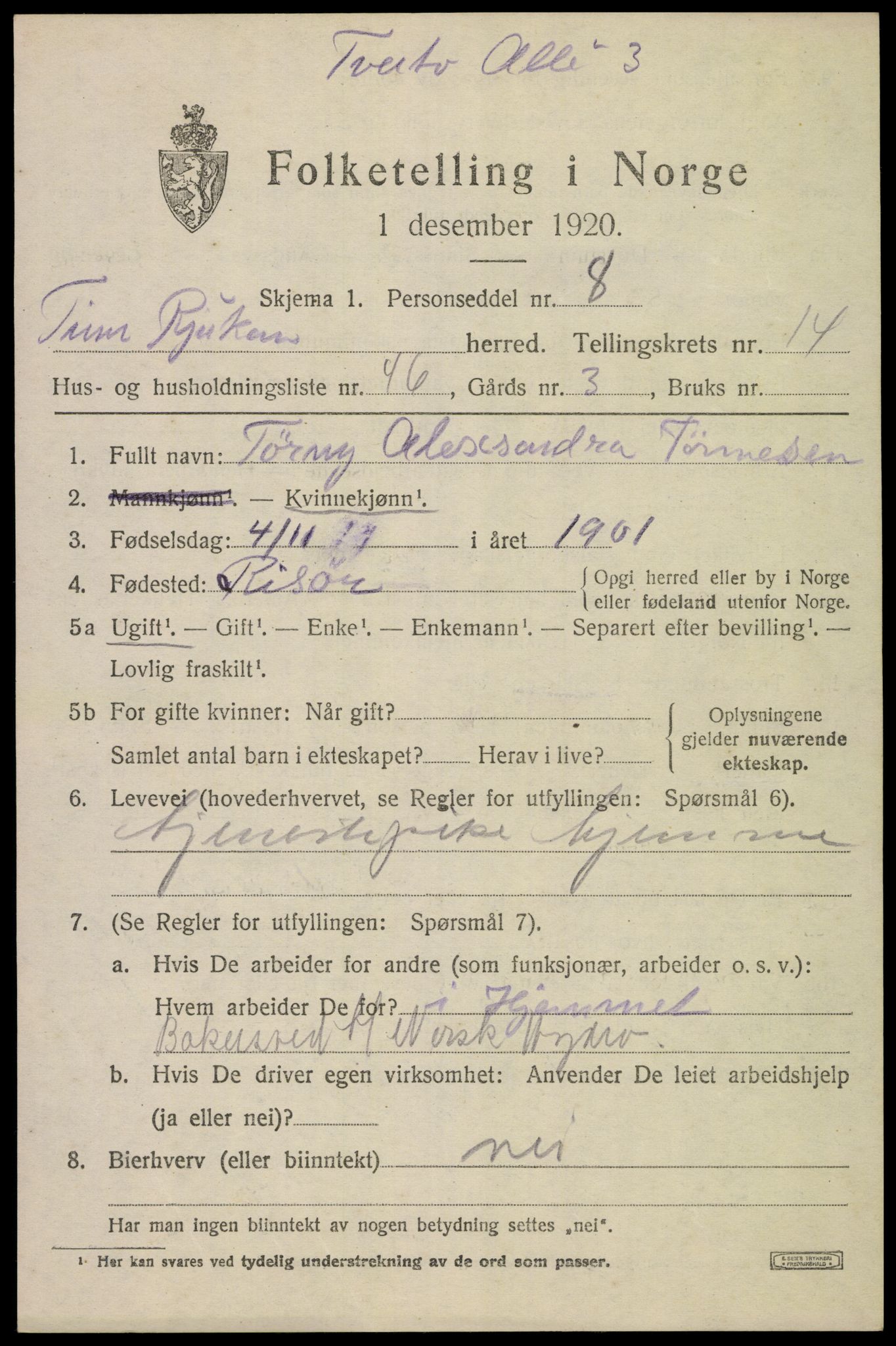 SAKO, 1920 census for Tinn, 1920, p. 10032