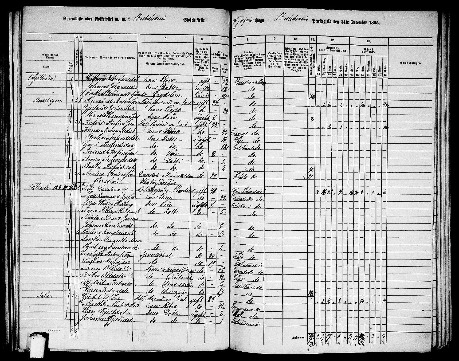 RA, 1865 census for Balestrand, 1865, p. 14