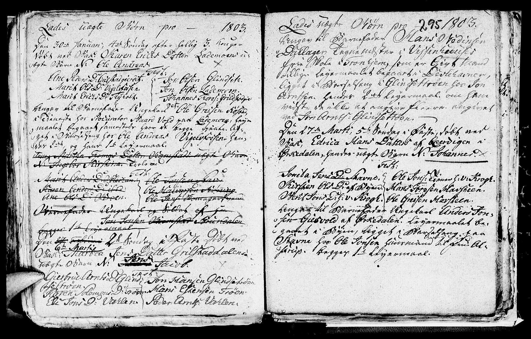 Ministerialprotokoller, klokkerbøker og fødselsregistre - Sør-Trøndelag, SAT/A-1456/606/L0305: Parish register (copy) no. 606C01, 1757-1819, p. 295