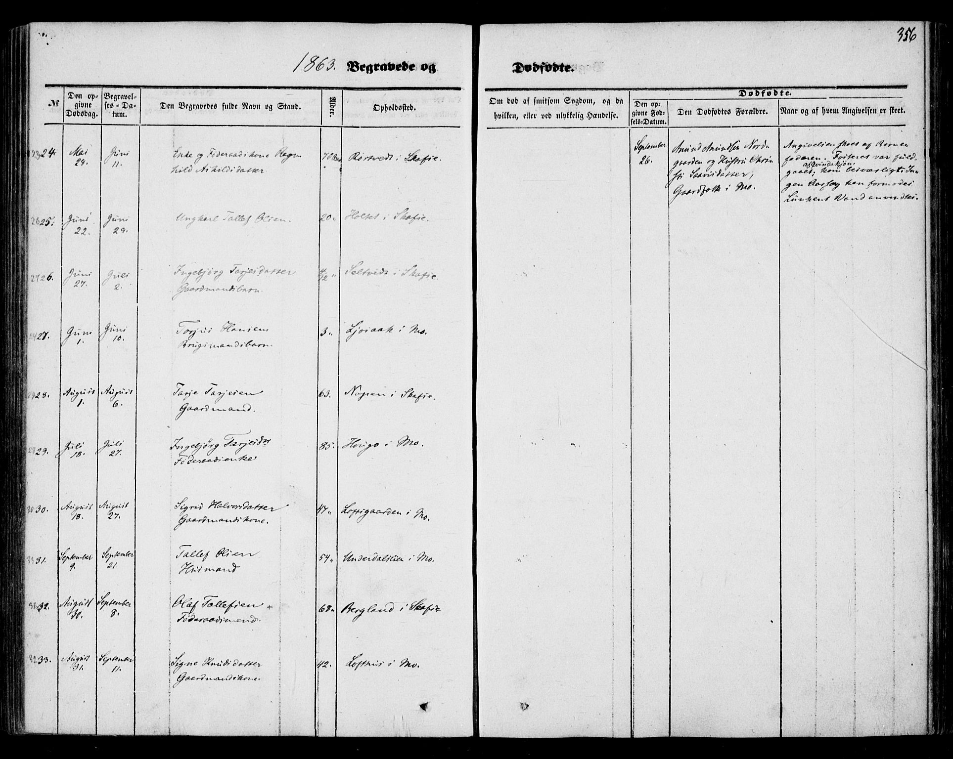 Mo kirkebøker, AV/SAKO-A-286/F/Fa/L0005: Parish register (official) no. I 5, 1844-1864, p. 356