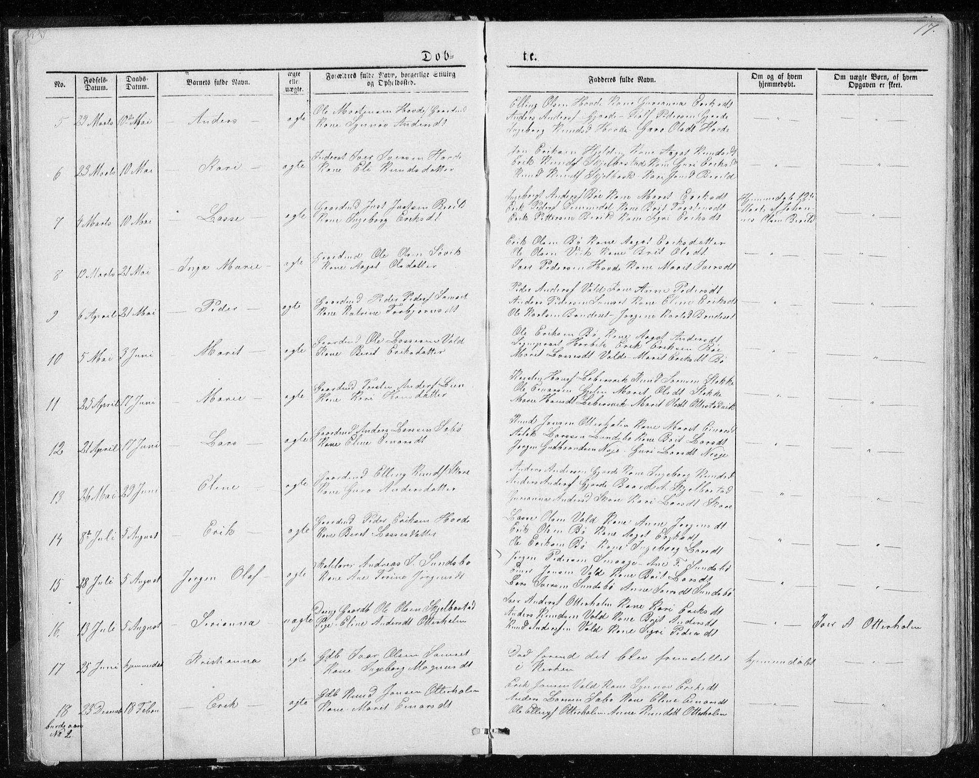 Ministerialprotokoller, klokkerbøker og fødselsregistre - Møre og Romsdal, AV/SAT-A-1454/543/L0564: Parish register (copy) no. 543C02, 1867-1915, p. 17