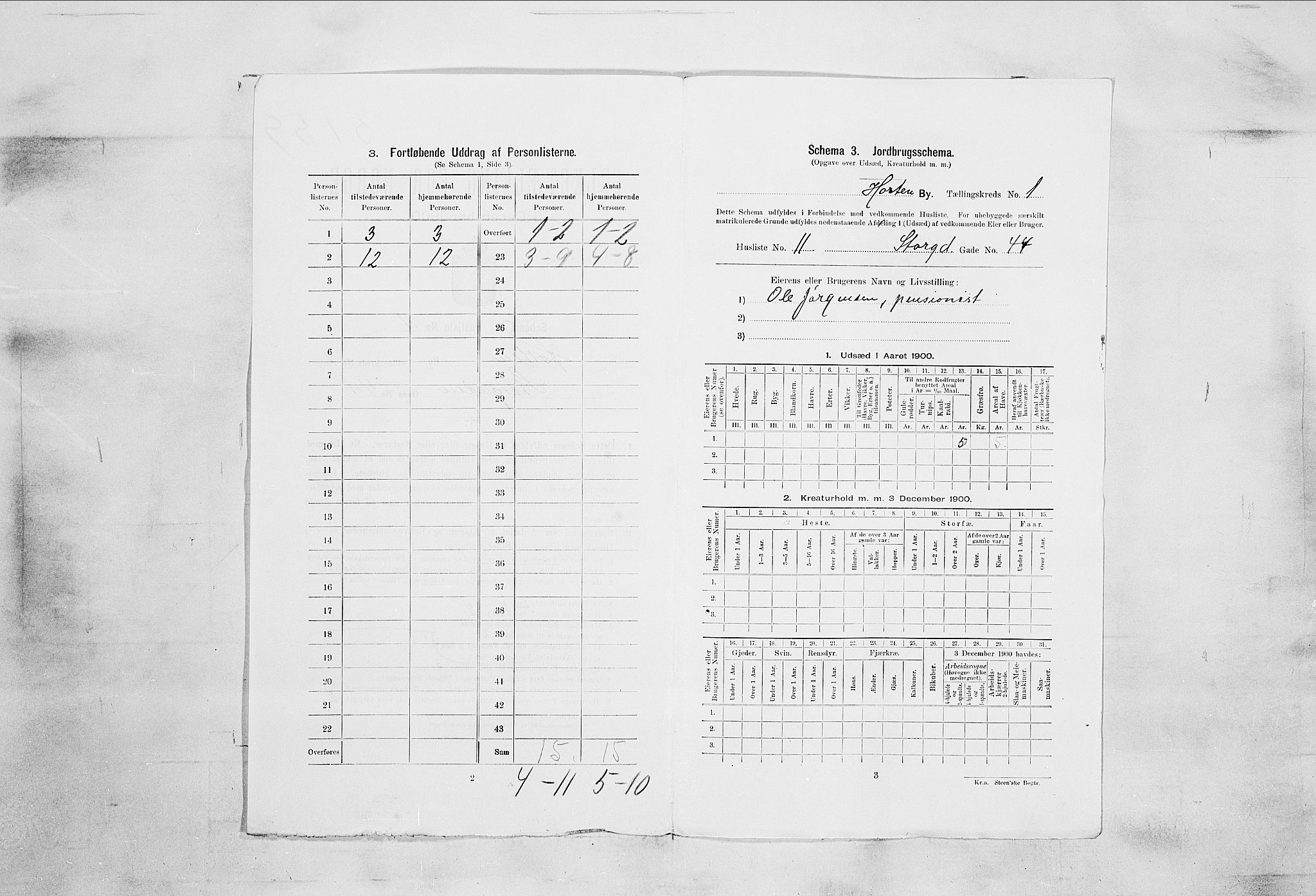 RA, 1900 census for Horten, 1900, p. 4993