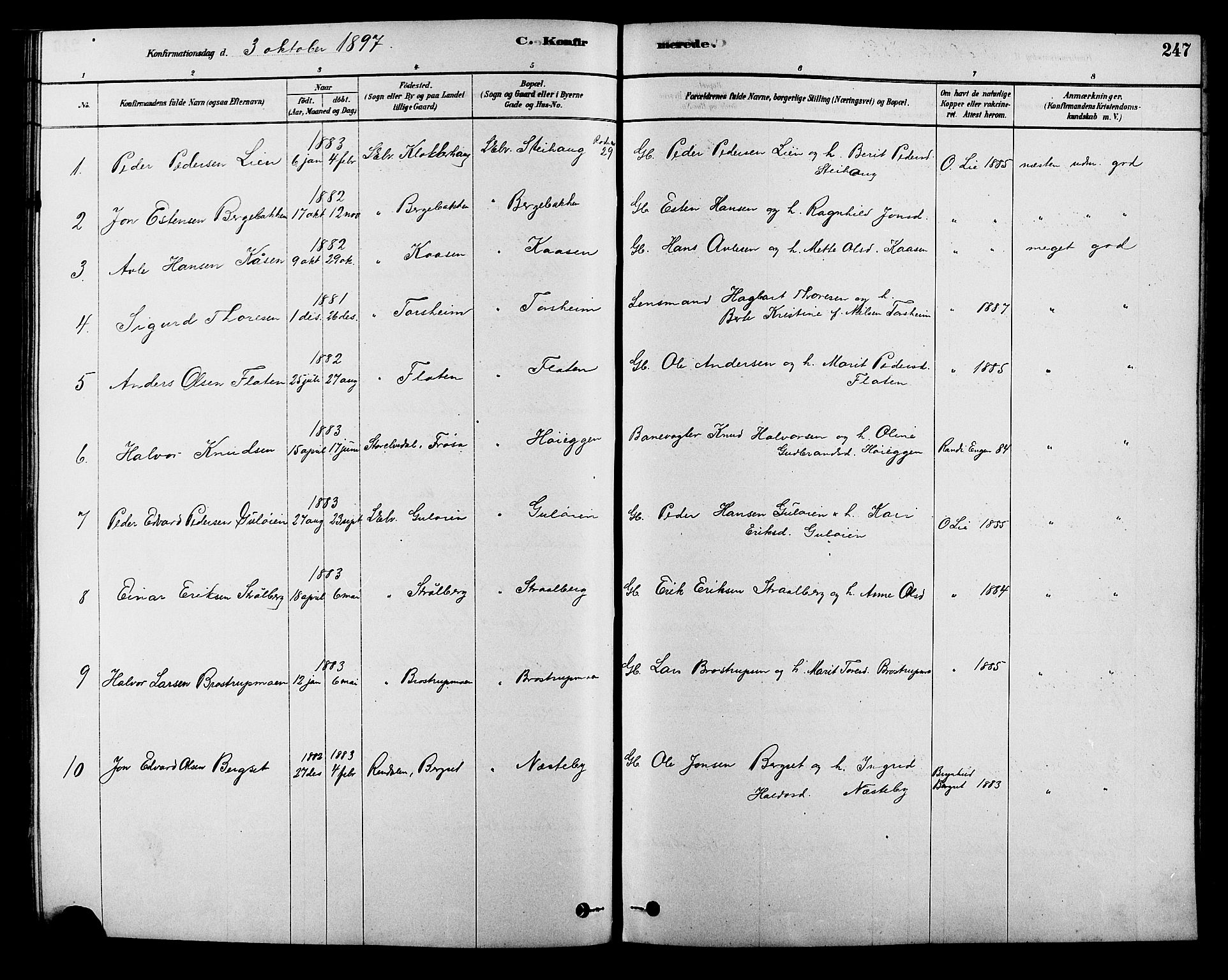 Alvdal prestekontor, SAH/PREST-060/H/Ha/Hab/L0003: Parish register (copy) no. 3, 1878-1907, p. 247