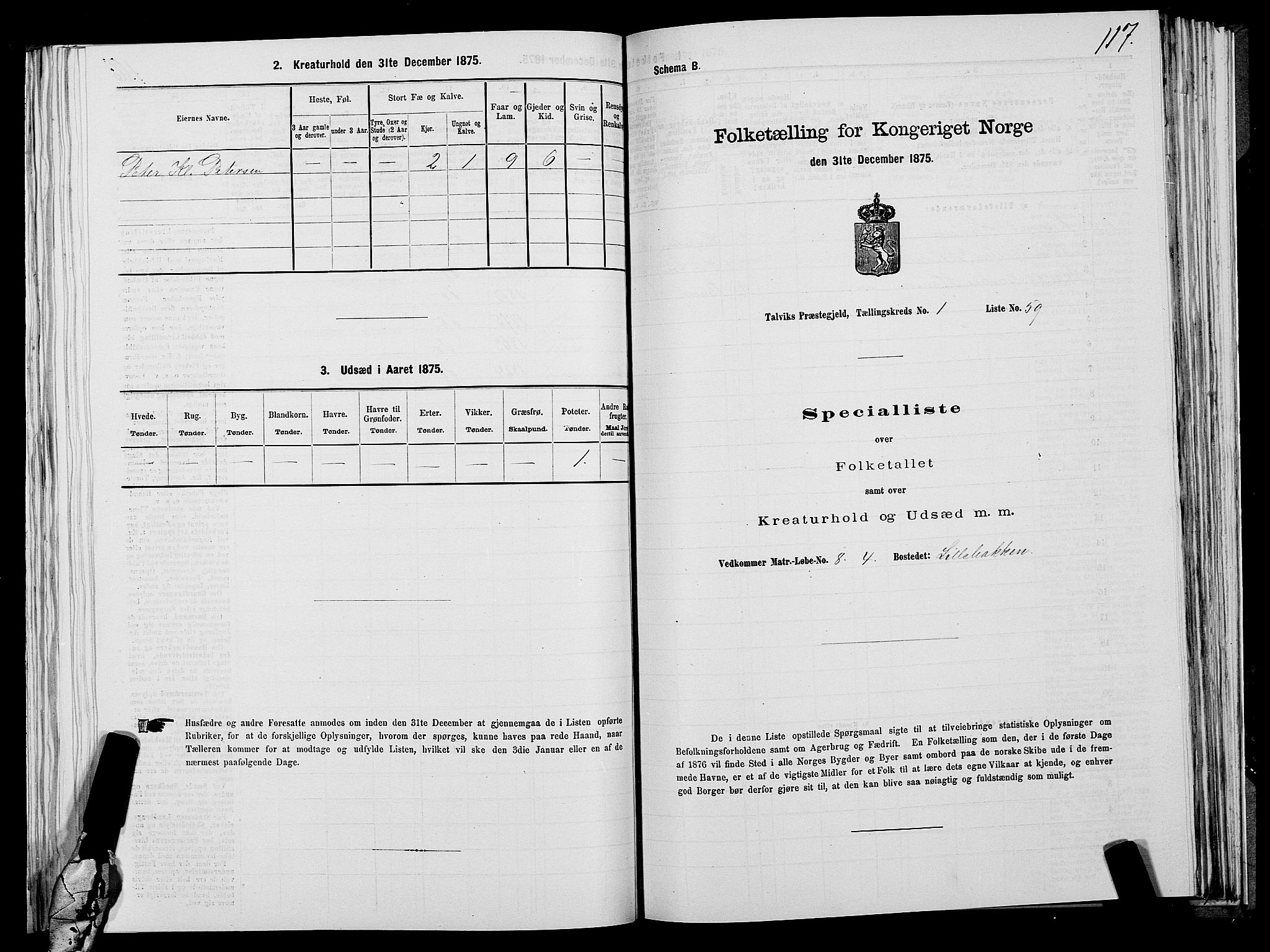 SATØ, 1875 census for 2013P Talvik, 1875, p. 1117