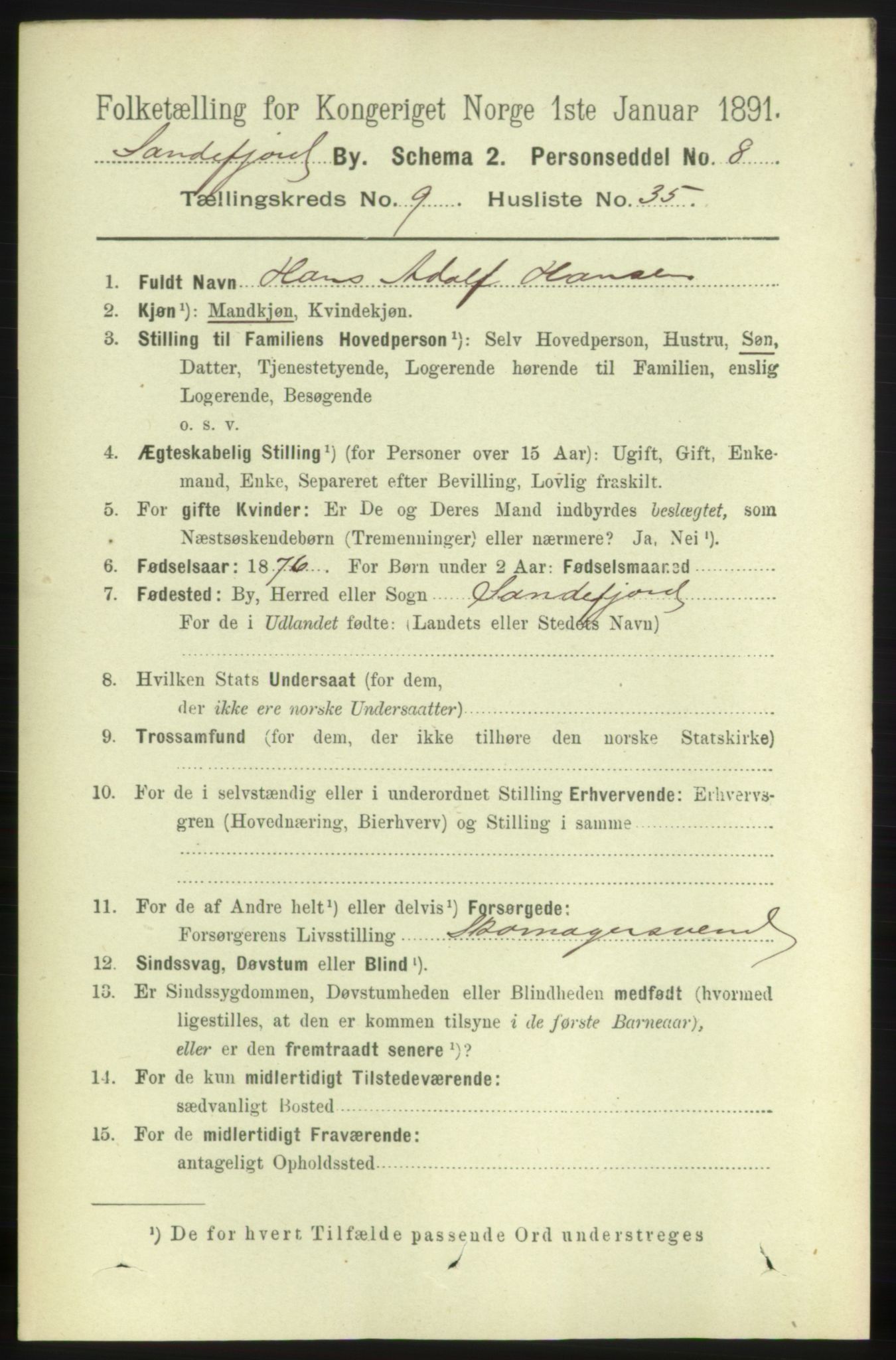 RA, 1891 census for 0706 Sandefjord, 1891, p. 3738