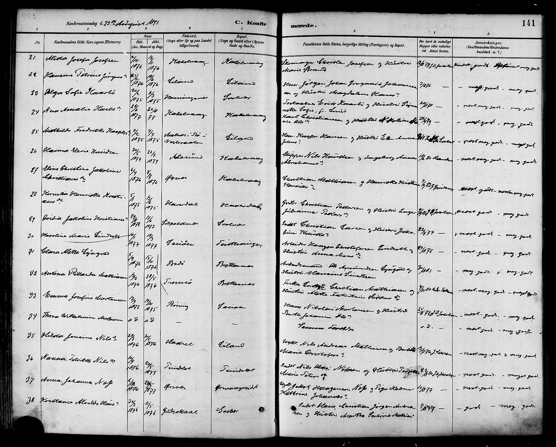 Ministerialprotokoller, klokkerbøker og fødselsregistre - Nordland, AV/SAT-A-1459/874/L1060: Parish register (official) no. 874A04, 1890-1899, p. 141