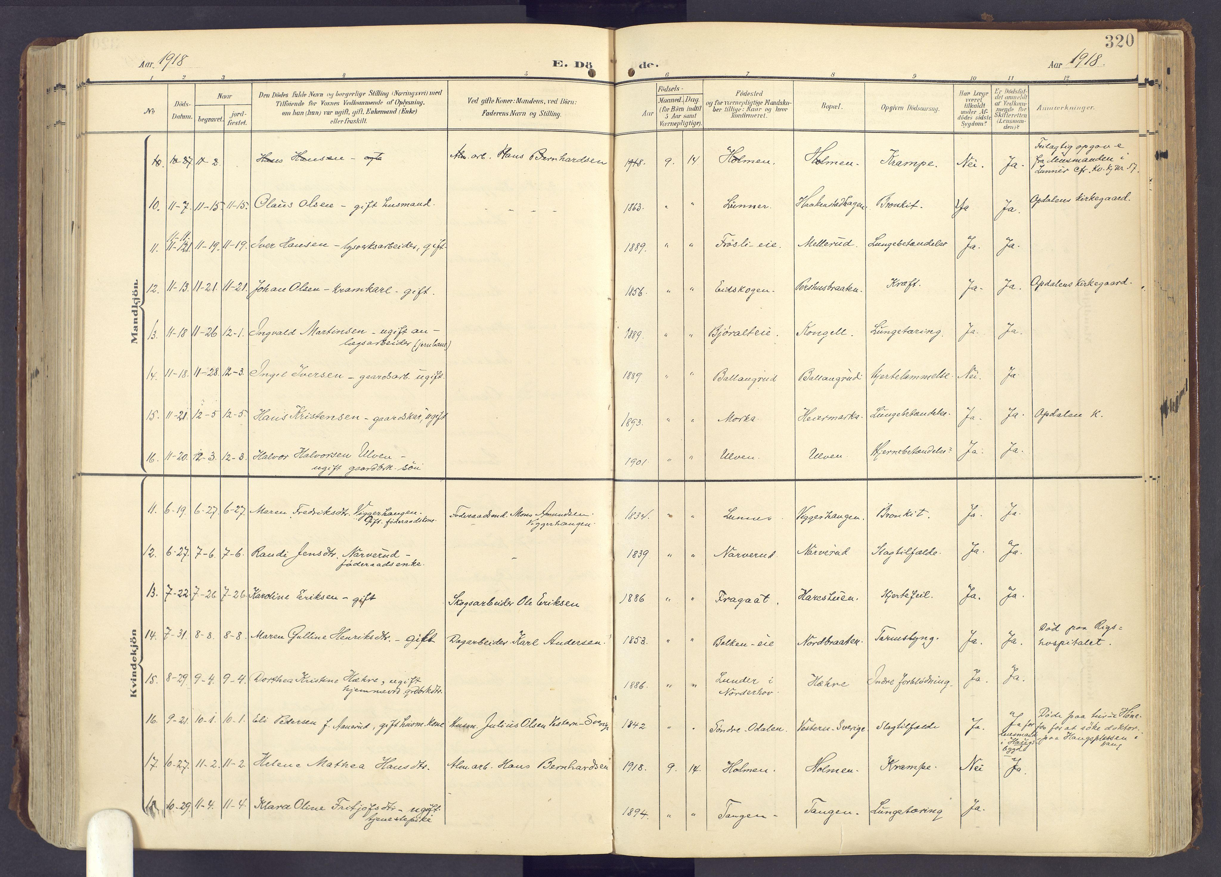 Lunner prestekontor, SAH/PREST-118/H/Ha/Haa/L0001: Parish register (official) no. 1, 1907-1922, p. 320